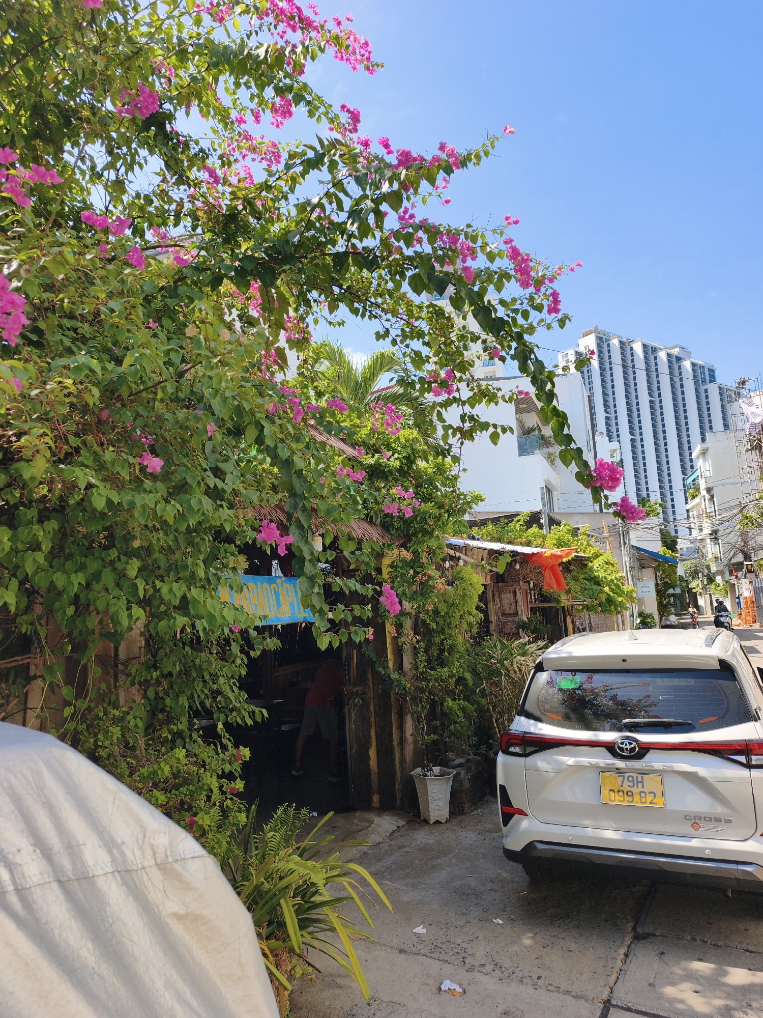 The image depicts a narrow street scene in Nha Trang, Vietnam, with a white SUV parked on the right side of the frame. The SUV has a yellow license plate reading "79H 099.82". Lush green foliage with bright pink bougainvillea flowers cascades over a rustic structure on the left side of the street, partially obscuring an entrance and a blue sign with yellow lettering. Beyond the foliage, a modern, tall white building dominates the skyline in the background, suggesting an urban setting. The street appears to be paved with concrete, and there are various potted plants and debris scattered around. A person in a red shirt and grey shorts is visible partially through the entrance of the rustic structure. The sky is clear and blue.
