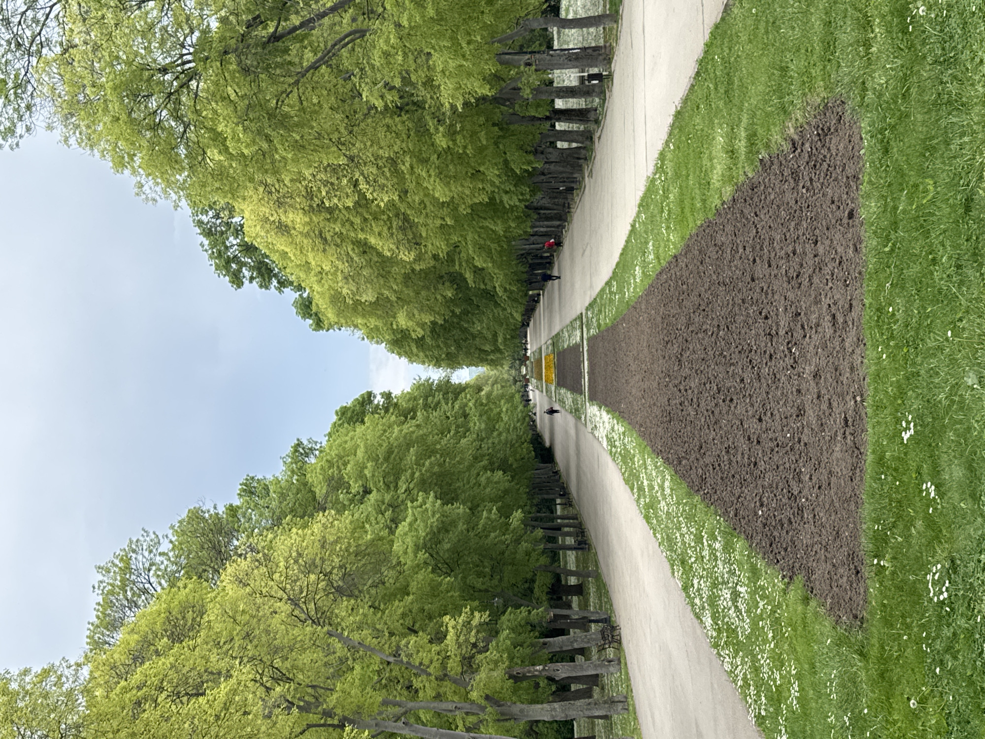 The image depicts a long, straight pathway in what appears to be a park setting in Varna, Bulgaria. The pathway is flanked on both sides by rows of trees with fresh green foliage, suggesting it is springtime. A narrow strip of dark soil runs adjacent to the pathway on the right side of the image, contrasting with the green grass and small white flowers covering the rest of the lawn. Several people are walking along the path in the distance. The sky is visible at the top of the image, and it appears overcast. Benches are situated under some of the trees.