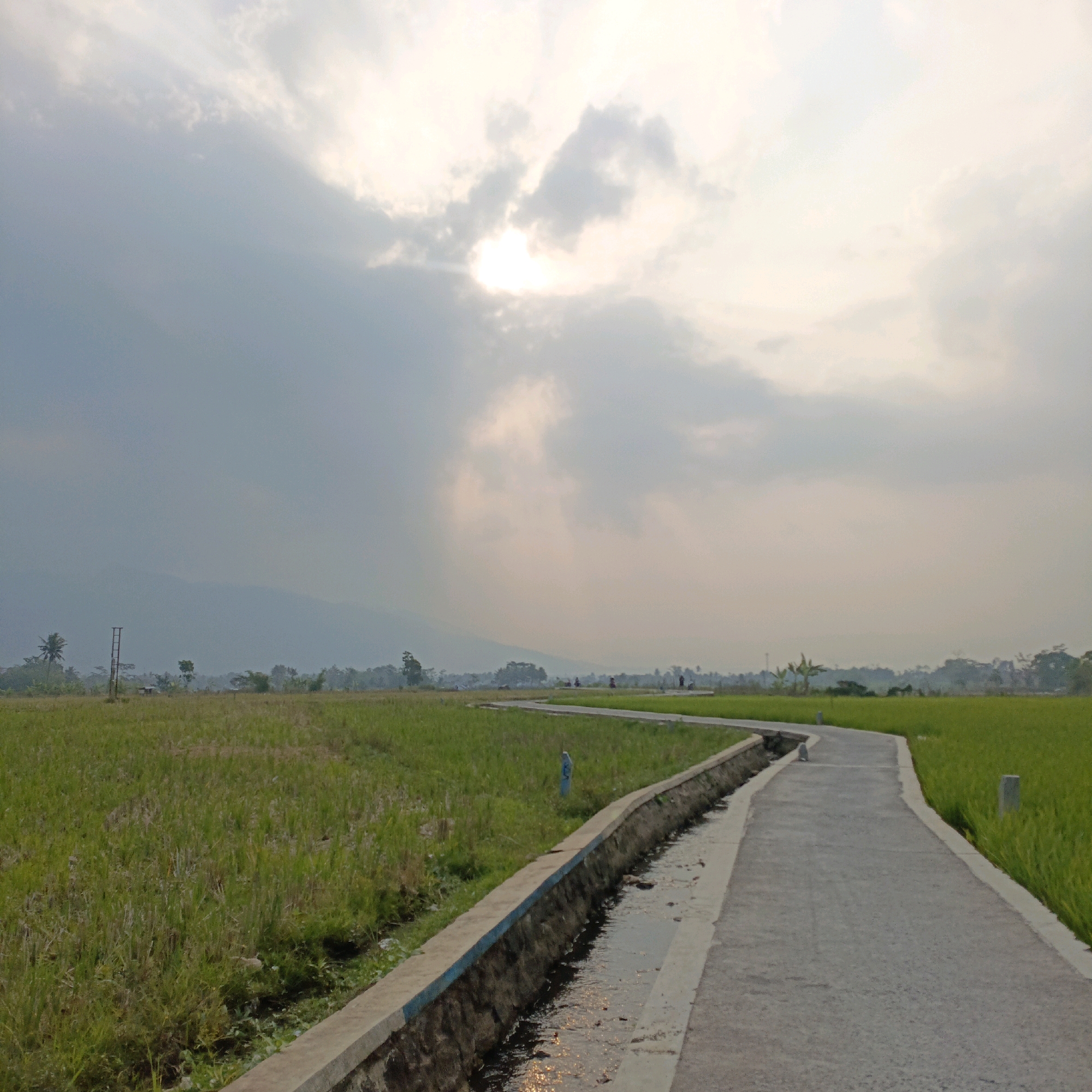The image depicts a rural landscape in Salatiga, Indonesia, characterized by agricultural fields and a winding road. The scene is captured under a cloudy sky, with the sun partially obscured by clouds, casting a diffused light. In the foreground, a concrete road curves to the right, bordered by a narrow concrete drainage ditch on its left. The ditch contains murky water reflecting the sky.
To the left of the road, a vast expanse of green rice paddies stretches towards the horizon. The rice stalks appear lush and vibrant. In the mid-ground, beyond the paddies, a line of trees and a few scattered structures suggest a small village or settlement. A tall, slender pole, possibly an antenna or utility pole, stands prominently amidst the fields. In the distance, a hazy mountain range forms the backdrop, its silhouette softened by atmospheric conditions.
On the right side of the road, more green fields, likely also rice paddies, extend into the distance. The overall impression is one of tranquility and agricultural life. The image is a medium shot, capturing the interplay of the natural environment and human-made infrastructure in a rural Indonesian setting.