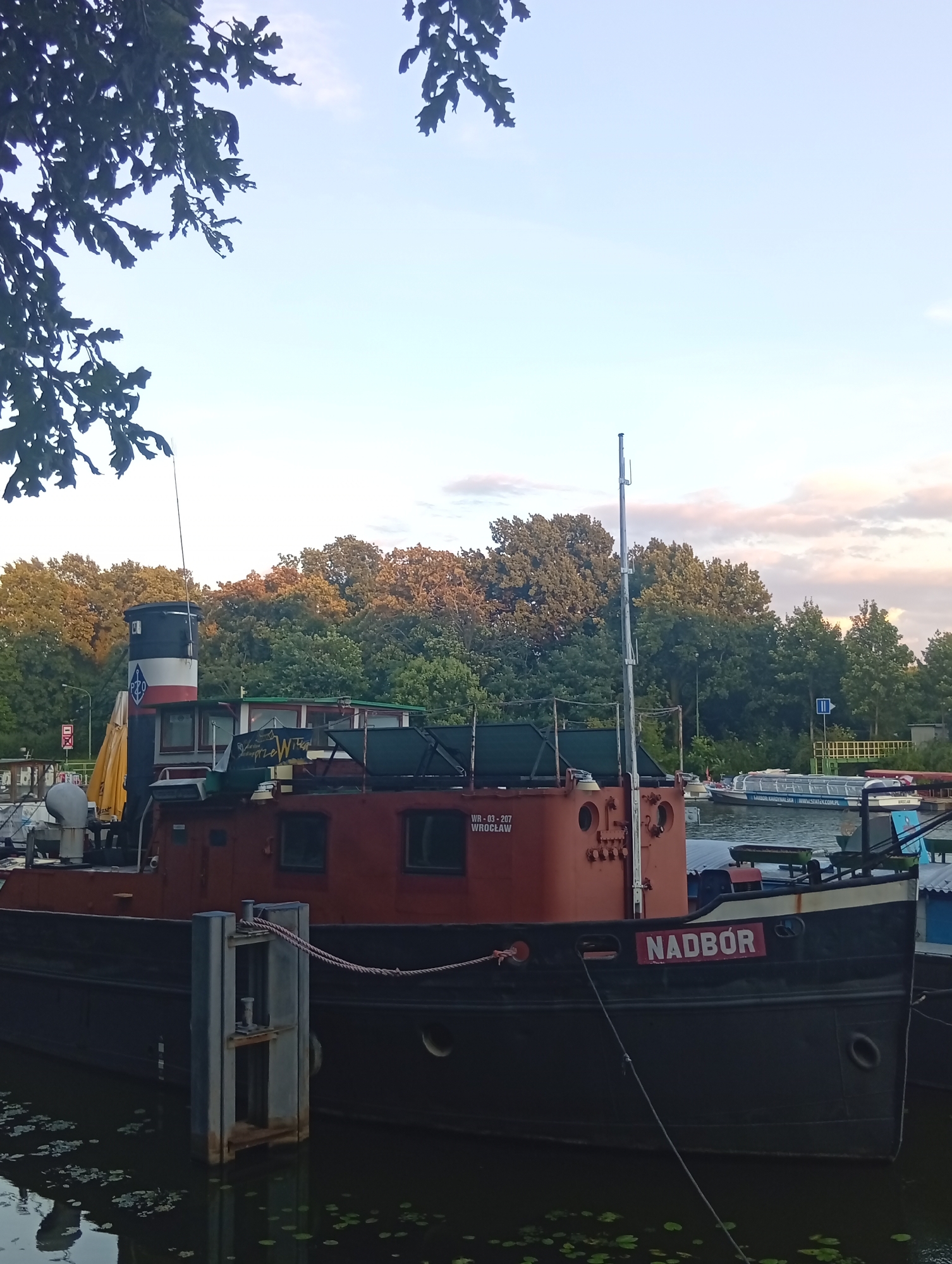 The image shows a boat docked on a body of water, likely a river or canal, in Wrocław, Poland. The boat is dark-hulled with a prominent orange superstructure. The name "NADRÓR" is visible in red lettering on the side of the boat. In the background, lush green trees line the shore, and the sky above displays a soft, cloudy sunset with hues of pink and orange. A leafy branch hangs into the frame from the top left corner, suggesting the scene is outdoors and near vegetation. The overall impression is a peaceful, waterfront view in a European city.