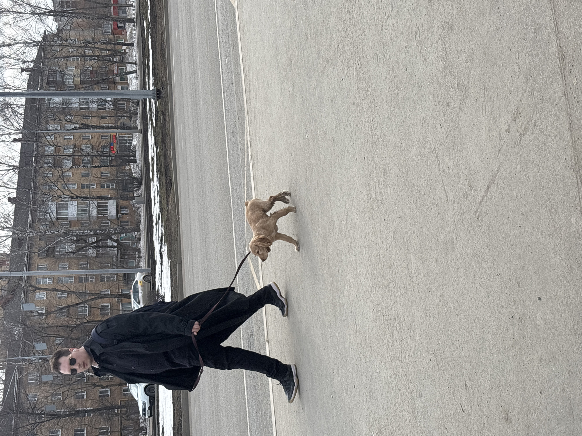 A man with sunglasses is walking a dog on a leash on the street in Perm, Russia. The man is wearing a dark jacket and pants. The dog is light brown. The background includes buildings and trees. The street is grey concrete.