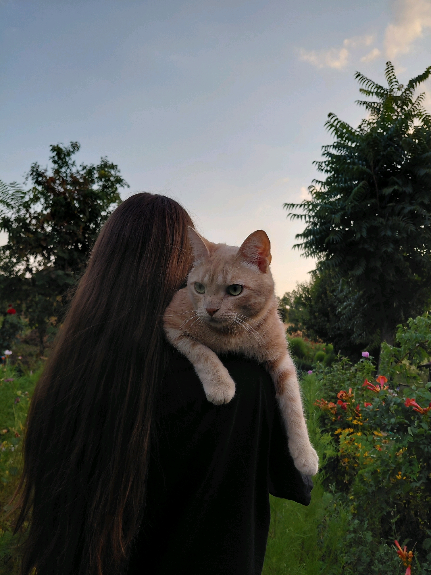 A person with long, dark hair is holding an orange tabby cat on their shoulder outdoors. The cat is looking to the left with green eyes. The person is wearing a black shirt. Behind them is a garden with various plants and flowers, including some with orange and yellow blooms. The sky is a pale blue with some scattered clouds. The overall lighting suggests it is late afternoon or early evening.