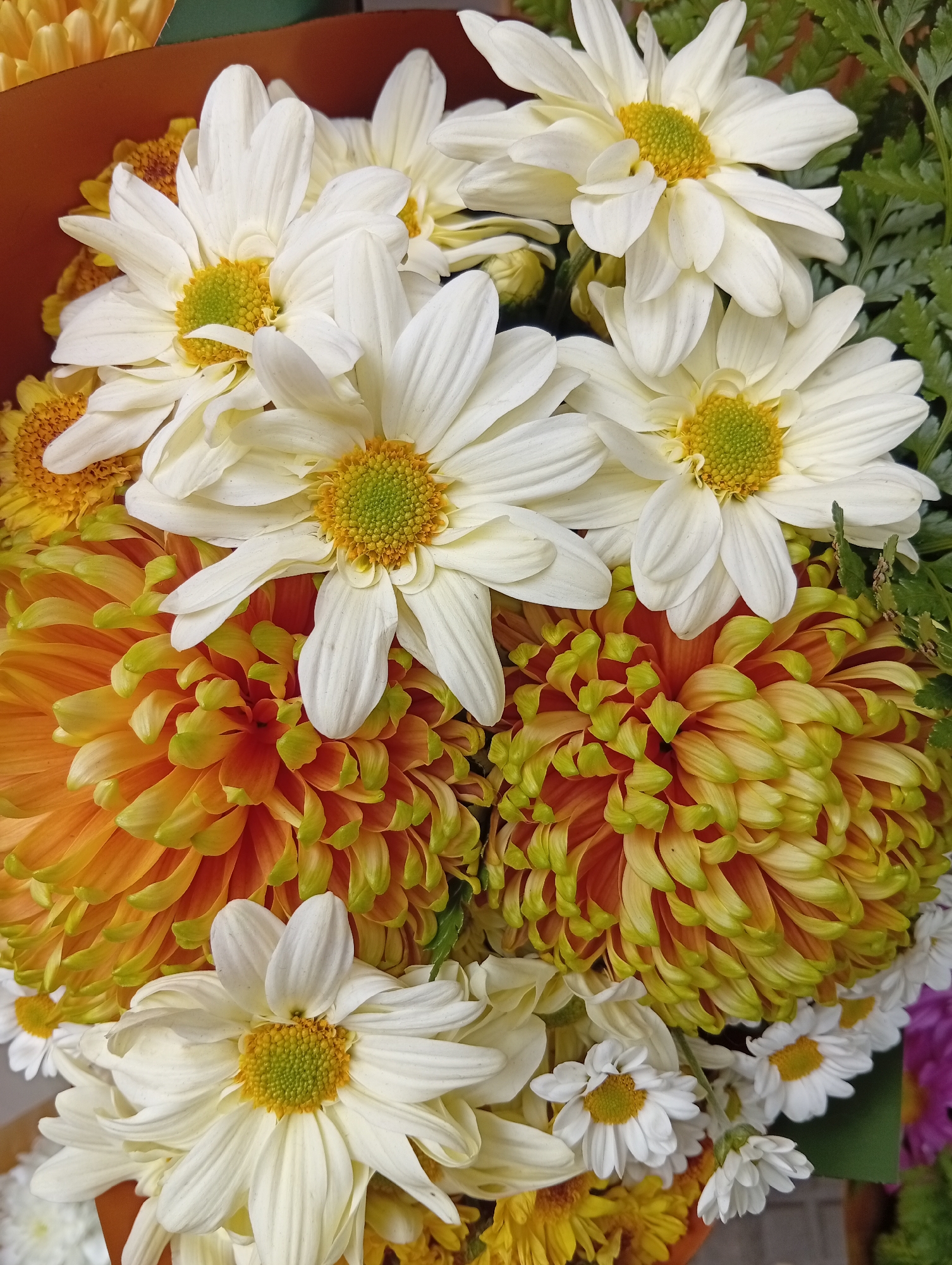 A close-up shot shows a bouquet of flowers. Dominating the view are large, orange chrysanthemums with green-tipped petals, interspersed with white daisies that have yellow and green centers. Additional smaller white daisies are visible. Green foliage is mixed in among the flowers. The scene lacks explicit information about Buenos Aires, Argentina. No people are visible, so no interactions occur. The bouquet is the central object. No specific actions or environmental details are discernable beyond the flower arrangement.