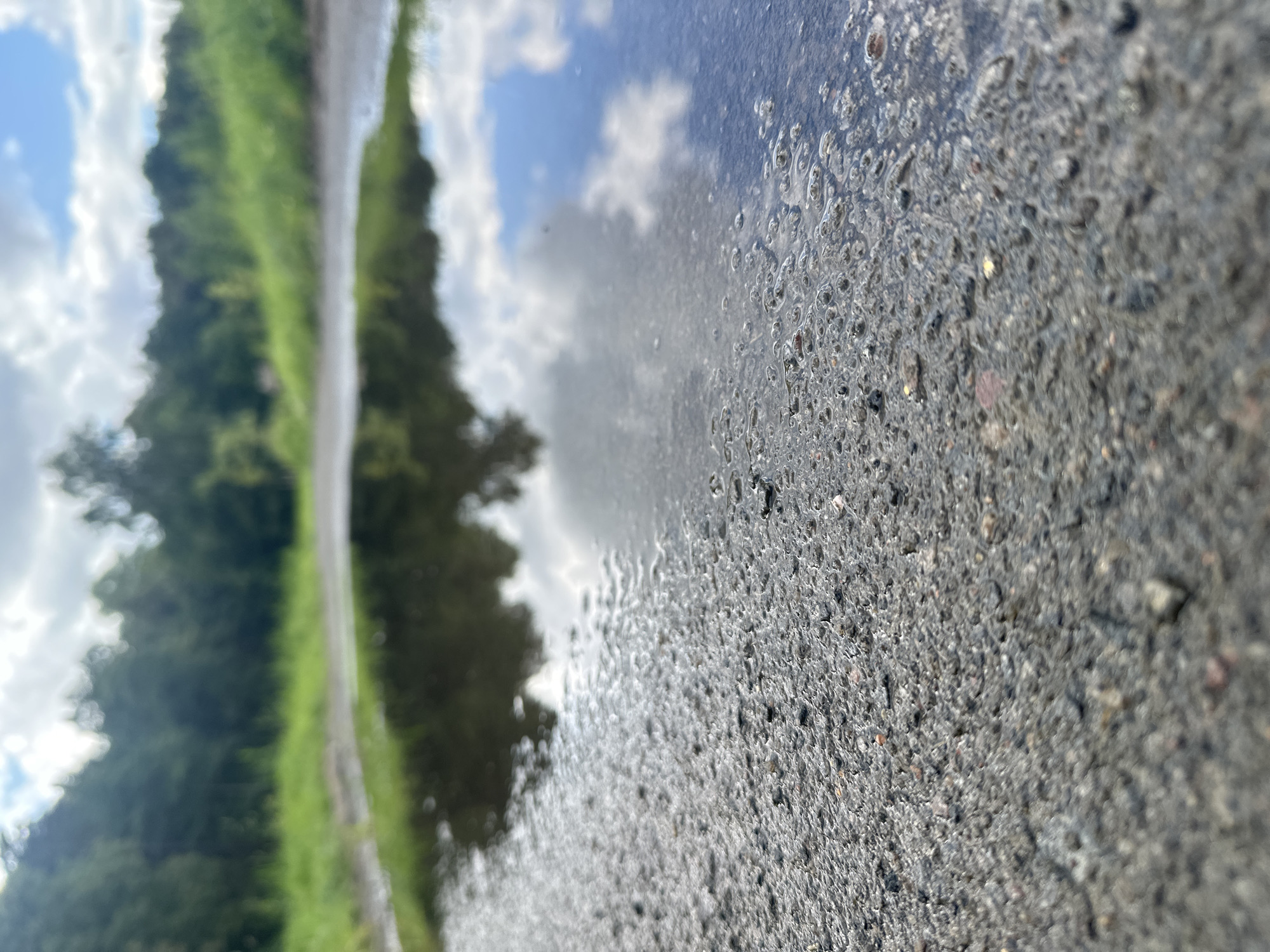 The image shows a low-angle view of a puddle on a paved surface, likely a road or pathway, with lush green vegetation and trees in the background under a cloudy sky. The puddle reflects the sky and surrounding greenery. The pavement in the foreground is textured with small stones and appears damp. No people or specific Minsk landmarks are visible.