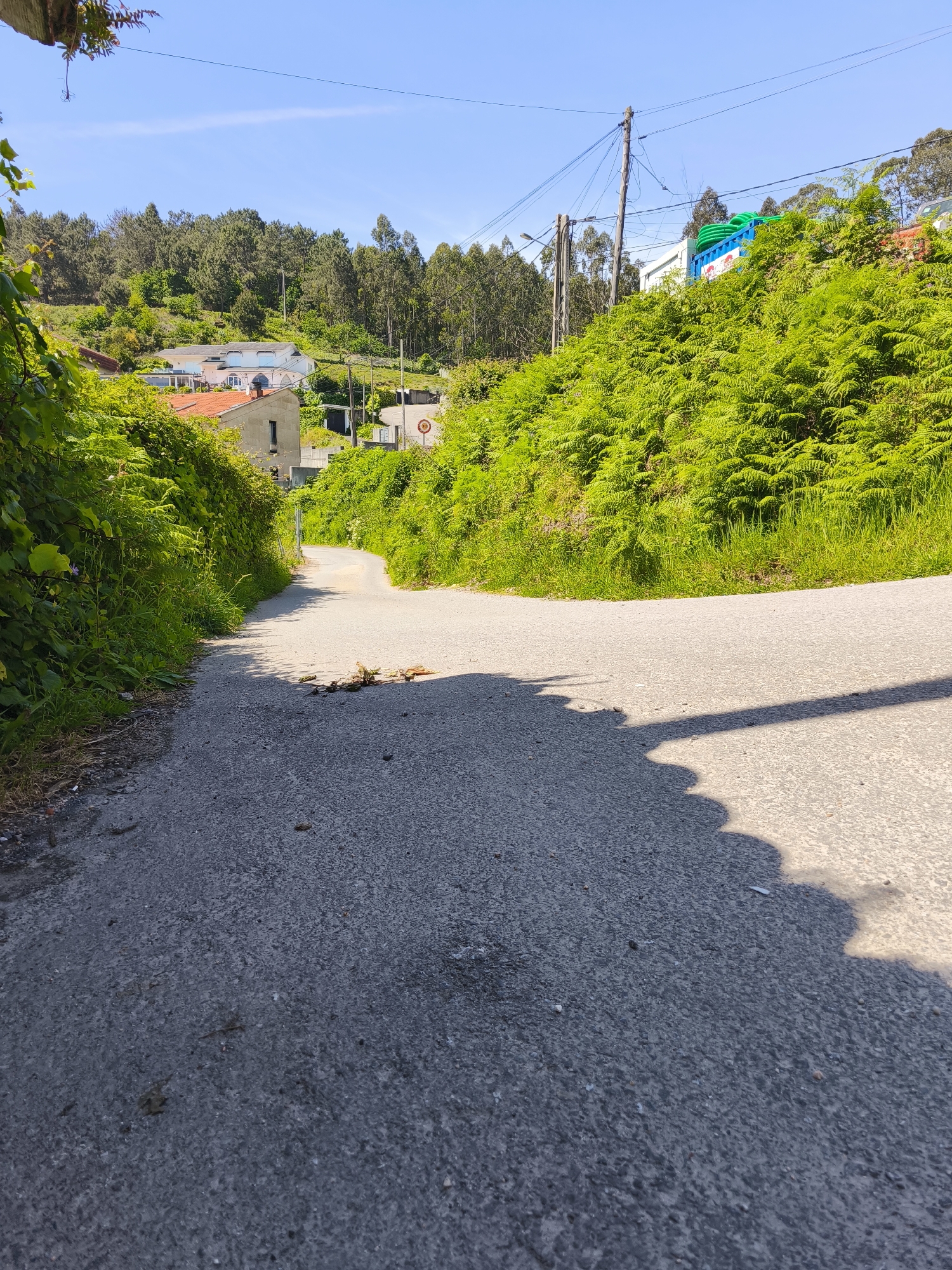 The image depicts a narrow, winding asphalt road in Cangas de Morrazo, Spain. The road ascends a hill, flanked by lush green vegetation, primarily ferns. Houses are visible in the background, interspersed with trees and undergrowth. Overhead power lines are present. A shadow is cast on the right side of the road. Debris, possibly leaves and small branches, is scattered across the road surface near the center of the frame. A 30-speed limit road sign is visible in the background.