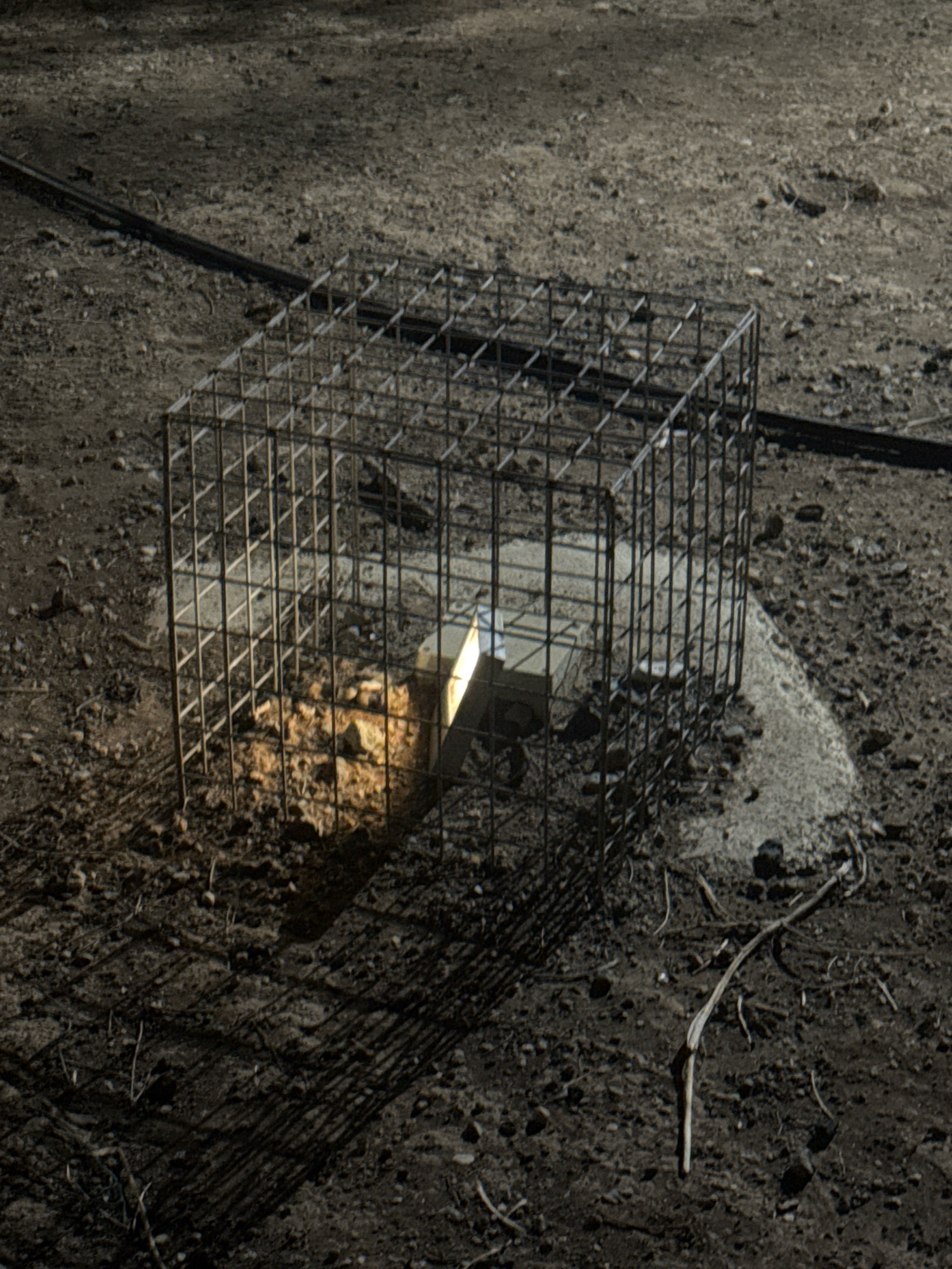 A metal cage is placed on dry, dark soil. The cage is a cube with wire mesh sides and top. Inside the cage, a brightly lit object, possibly a container, rests on a pile of dirt and rocks. The ground around the cage is uneven and scattered with small stones and dry vegetation. A shadow of the cage falls across the ground. In the background, a dark, linear object, possibly a cable or pipe, runs horizontally. The scene appears to be outdoors in a desolate or construction-like environment. The location is identified as Germasogeia Municipality, Cyprus.