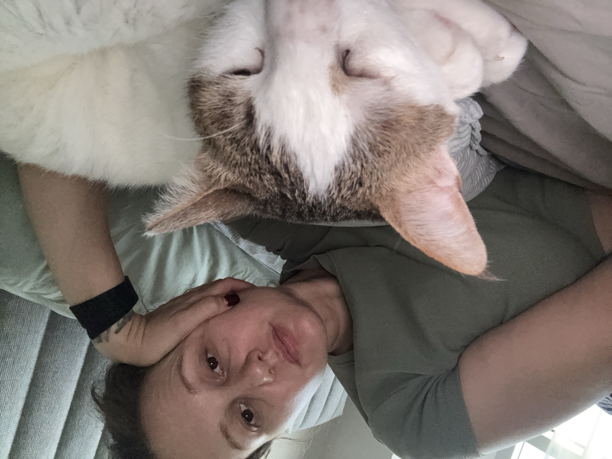 The image shows a woman lying down with a cat resting on her head. The woman is looking at the camera. The cat appears to be sleeping. The location is not discernible and cannot be determined from the image.