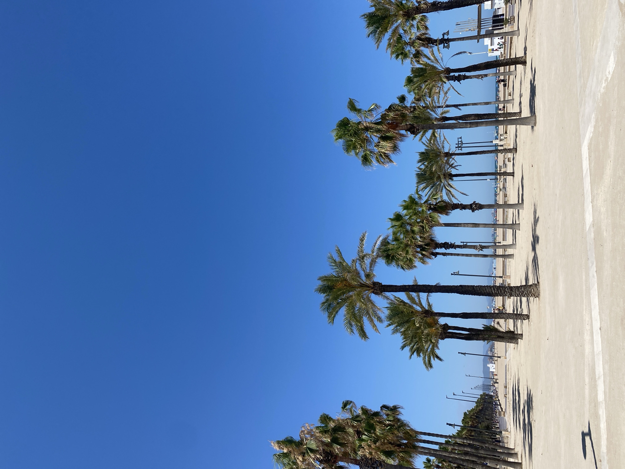 The image depicts a wide, sandy promenade lined with numerous palm trees under a clear, bright blue sky. The scene appears to be a beach or a seaside park. In the foreground, there is a sandy area with some concrete paving.
The promenade stretches into the distance, with rows of palm trees on either side. Streetlights are visible along the promenade, suggesting a well-developed public space. In the background, there are some buildings, possibly beach facilities or shops, and a glimpse of the sea with some boats. A few people are visible on the promenade and in the distance, casually walking or standing, enjoying the outdoor space. The overall impression is one of a sunny, relaxed atmosphere in a coastal city.
This scene is consistent with the Malvarrosa Beach promenade in Valencia, Spain. The wide, palm-lined walkway leading to the beach, the presence of streetlights, and the architectural style of the background buildings are characteristic of this popular Valencian destination.
