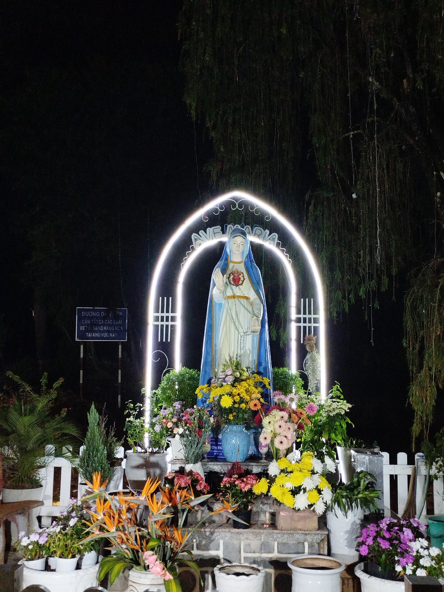 This image shows a statue of the Virgin Mary, centrally positioned within a vibrant floral display, and illuminated by a neon arch reading "AVE MARIA". The statue, draped in a blue cloak, has a red heart emblem on its chest. Various flowers and plants fill the scene, arranged on tiered levels in a collection of pots and vases, bordered by a white picket fence. In the background, the dark shapes of trees are visible. To the left of the statue is a blue sign with white text, presumably in Vietnamese. The photograph seems to have been taken at night, given the low ambient light. The scene is possibly in the city of Lạc Dương, Vietnam, based on the sign.