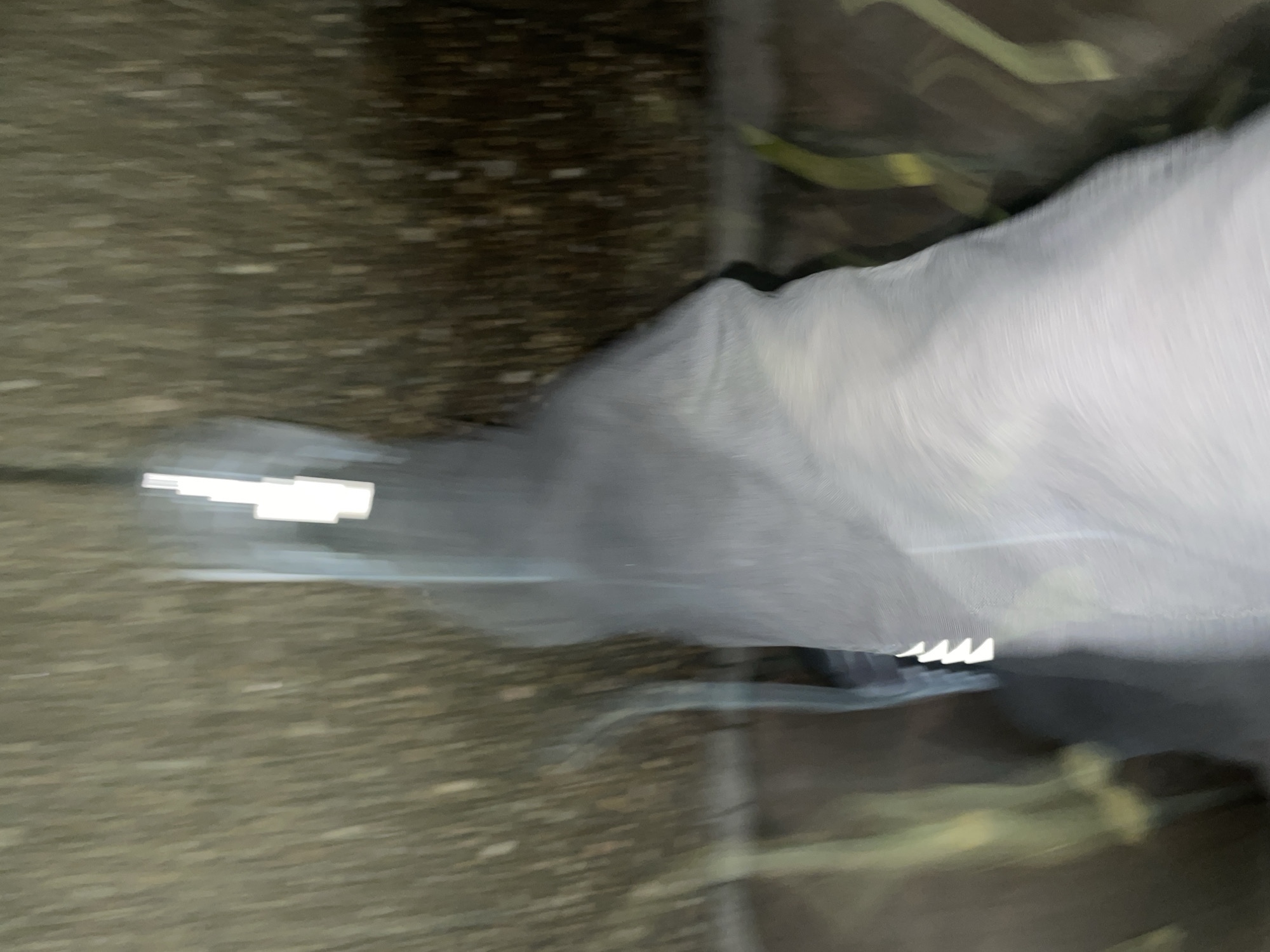 The image appears to be a blurry photograph taken at low light levels, possibly at night or in a dimly lit area. The scene seems to be outdoors, with a rough, dark surface suggesting a street or sidewalk. A white, flowing material partially obscures the view, possibly a piece of cloth or fabric caught in the wind. The motion blur indicates movement during the image capture.
The location and city of Vicente López, Argentina, cannot be verified.