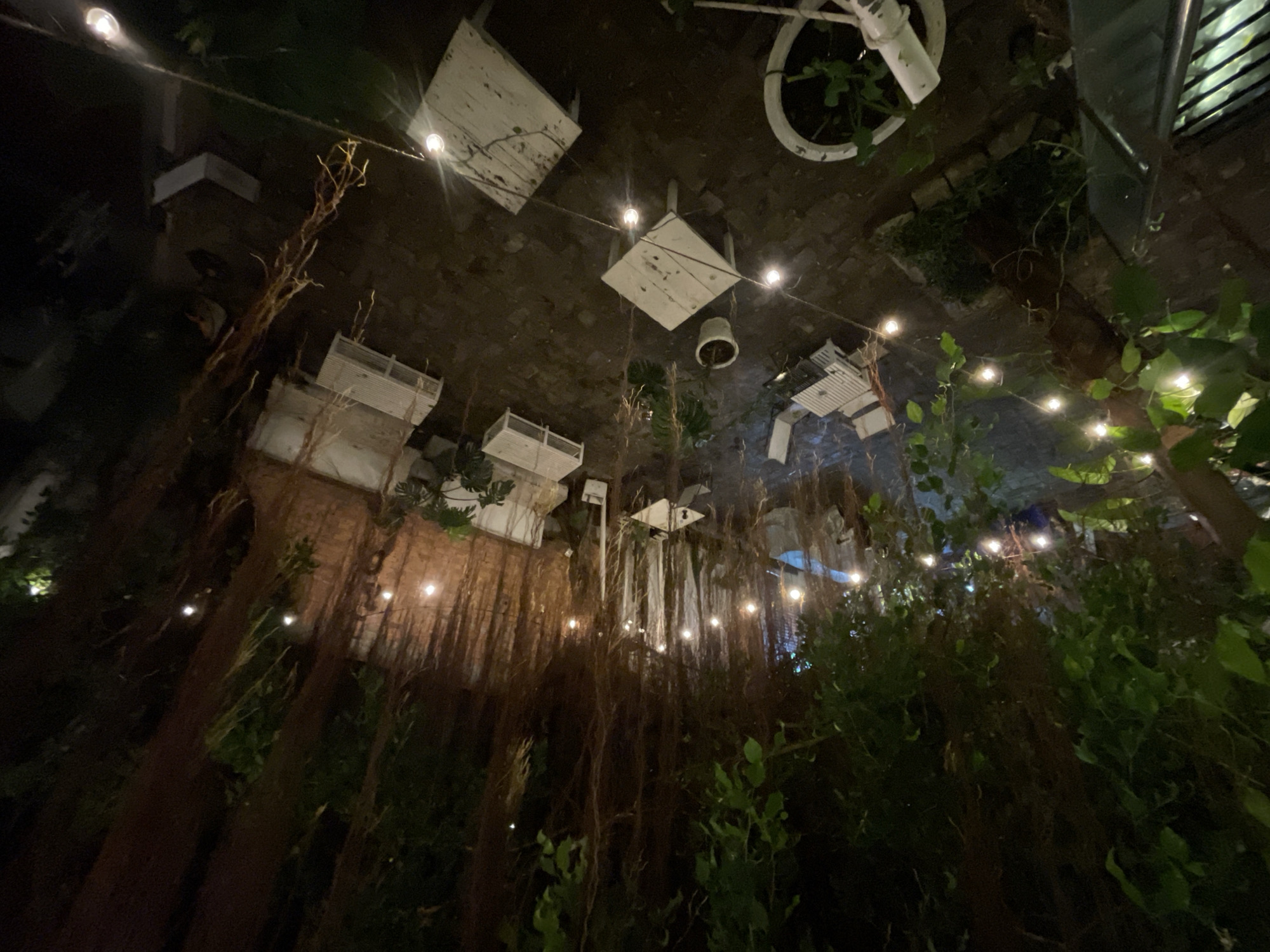 This image captures an outdoor scene at night, likely in Phu Thuy Ward, Vietnam, based on the prompt's instruction. Overhead, string lights illuminate a space with tables and chairs that appear to be white or light-colored, some with a distressed or aged appearance. A white bicycle wheel is also visible. Lush greenery and vines are prominent, obscuring portions of the scene. Long, thin, brown tendrils hang down, adding texture and depth to the image. The overall lighting creates a dimly lit, atmospheric ambiance. The location looks like a patio or outdoor dining area.