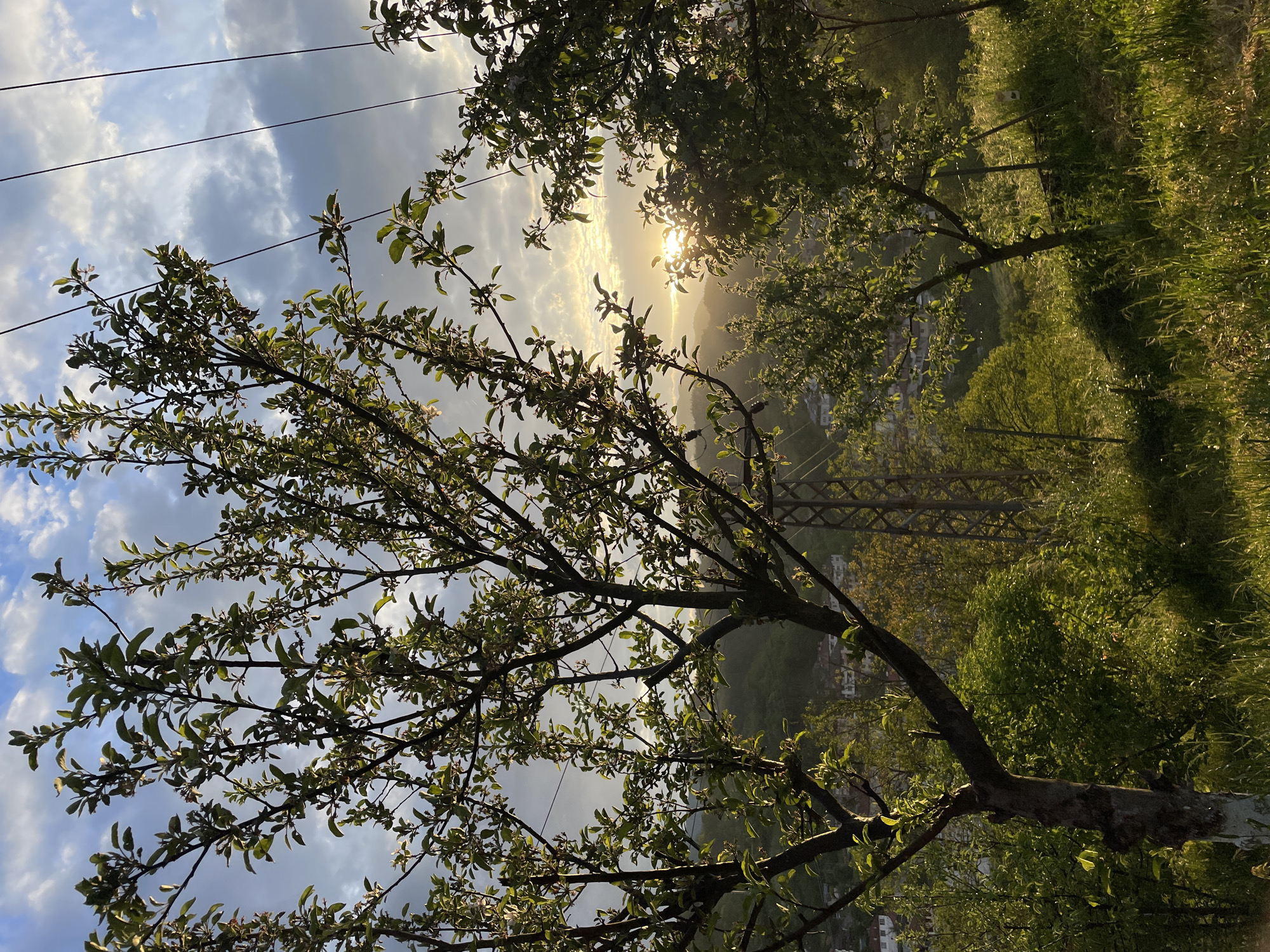 The image depicts a landscape in Zlatograd, Bulgaria, with a focus on a tree with budding leaves in the foreground. The sky is cloudy with the sun breaking through, creating a bright glow. In the background, there is a view of a town nestled in a valley, and a metal bridge is visible. The surrounding area appears to be green with vegetation.