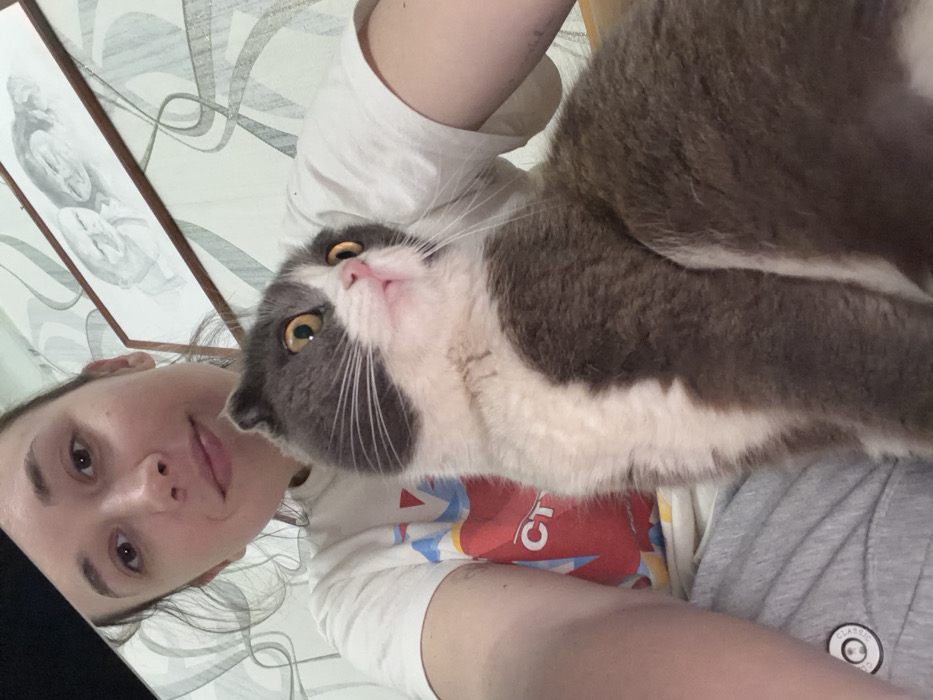 The image depicts a female individual taking a selfie indoors, with a domestic cat positioned in front of her. The female, visible from the chest up, has dark hair pulled back and a subtle smile while looking directly at the camera. She wears a white t-shirt with a multi-colored graphic design, including red letters "CT," and grey sweatpants with a circular emblem on the left thigh. The cat, appearing to be a Scottish Fold breed due to its ear shape, is bi-colored with grey and white fur, exhibiting large amber eyes and a pink nose. Its gaze is directed upwards and to the right, away from the camera, conveying an alert or startled expression. The background features a wall covered in light-colored wallpaper with a subtle abstract wavy pattern. Two framed pieces of monochromatic artwork, possibly sketches of faces, are visible on the wall. The scene is consistent with a residential interior. The location is specified as the city of Komsomolskiy, Russia.