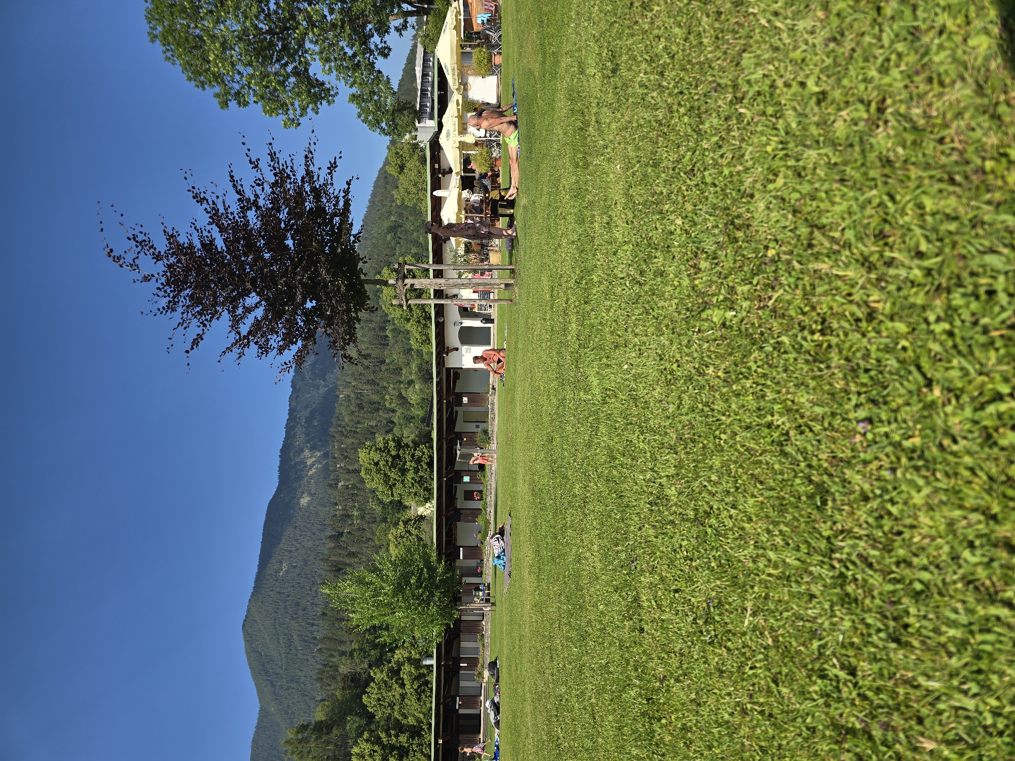 The image shows a sunny day at a public swimming pool in Garmisch-Partenkirchen, Germany. In the foreground, a well-maintained green lawn stretches towards a row of buildings with dark wooden roofs. Several people are scattered across the lawn, some lounging on towels and mats, while others are walking or standing. In the background, a dark red-leaved tree stands prominently, with more greenery and a mountain range visible behind the buildings. The sky is a clear, bright blue. The scene appears peaceful and recreational, with the natural landscape of the Bavarian Alps providing a scenic backdrop.