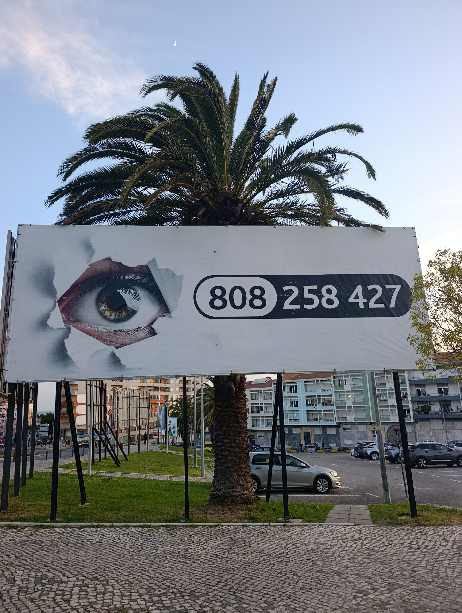 A wide shot captures an outdoor billboard advertising a phone number, positioned in a paved area with a grassy patch and a palm tree. The billboard, oriented horizontally, features a graphic of a human eye peering through a torn section of white material. To the right of the eye graphic, a black oval shape contains the white text "808 258 427". The billboard is supported by metal poles and is set against a backdrop of a clear sky with a sliver of a crescent moon. Behind the billboard, a palm tree trunk is visible, and beyond that, a multi-story building with balconies and windows. In the foreground, a cobblestone pavement runs horizontally across the bottom of the image. A few cars are parked in a lot to the right of the grassy area. The overall lighting suggests it is late afternoon or early evening. This billboard is likely located in the city of Setúbal, Portugal, as indicated by the architectural style and the presence of palm trees, which are common in the region.