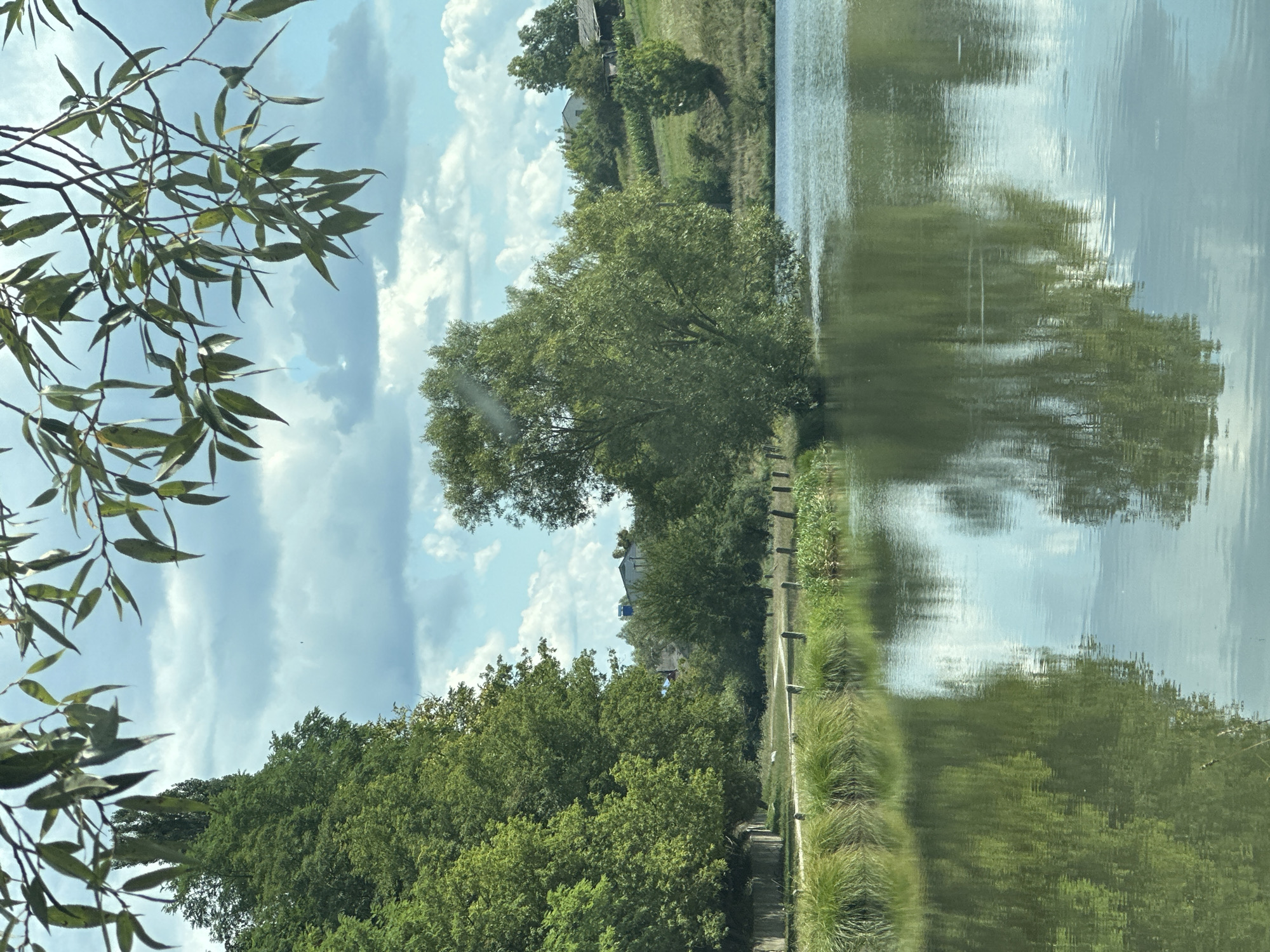 The image depicts a serene lakeside scene, likely in the village of Makiv, Ukraine, under a partly cloudy sky. The foreground is dominated by the calm, reflective surface of a lake, mirroring the lush greenery of the surrounding trees and the blue sky with scattered white clouds. Along the left bank, tall, dense trees form a verdant wall, their reflections creating an unbroken expanse of green on the water. A pathway, possibly a dirt track, runs along the edge of the lake, bordered by a low fence constructed of wooden posts and wire.
To the right of the pathway, a large, bushy tree stands prominently, its branches reaching out over the water. Beyond this tree, the landscape rises gently into rolling hills dotted with more trees and a few scattered buildings, suggesting a rural or semi-rural setting. One building, partially visible on the far right, appears to be a traditional rural dwelling with a dark roof. The overall impression is one of tranquility and natural beauty, characteristic of a peaceful Ukrainian countryside. There are no people or animals visible in the image. The vegetation is predominantly green, indicating a summer or early autumn season. The light suggests it is daytime, likely midday or afternoon, with the sun casting soft shadows.