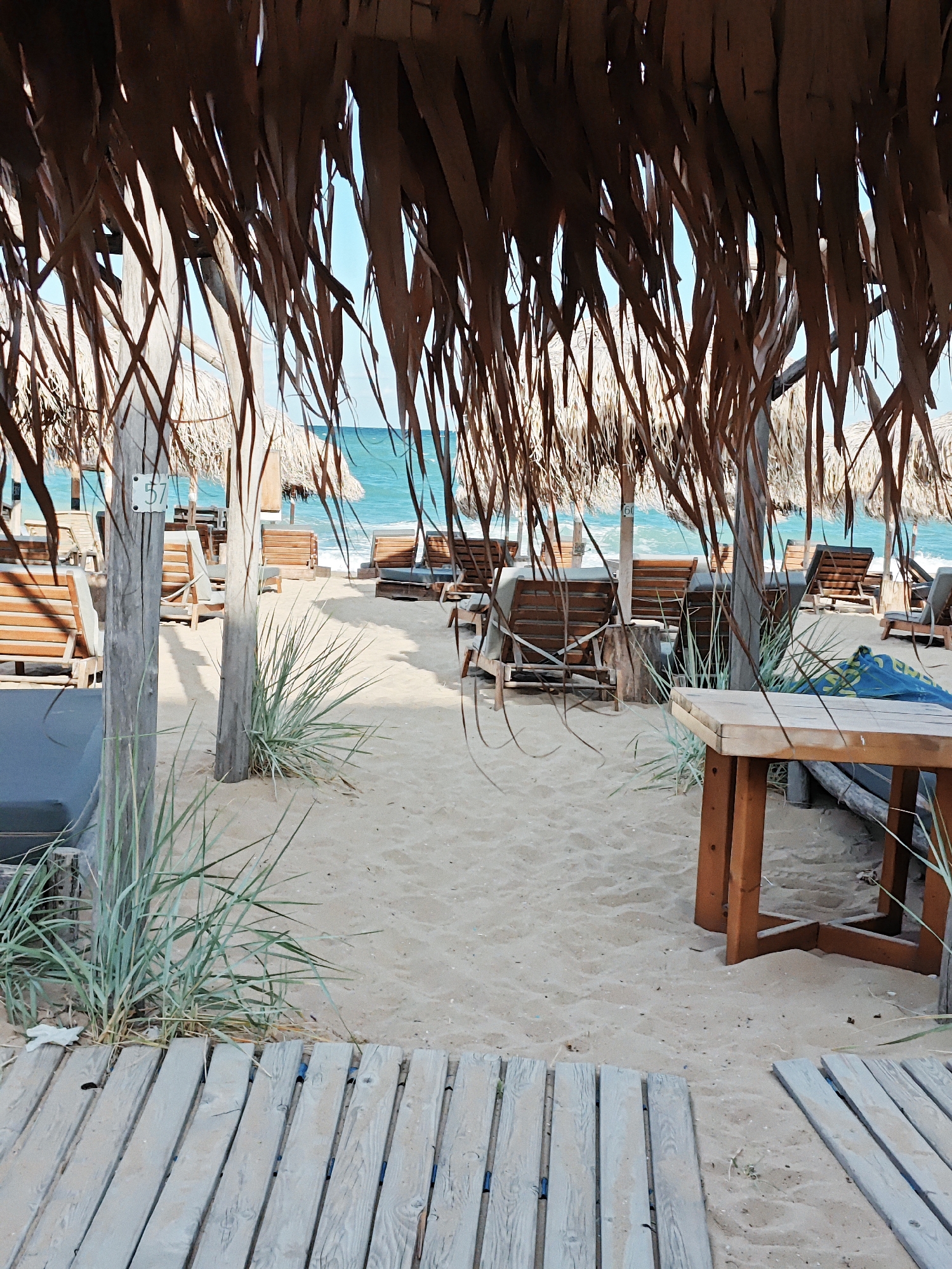 This is a low-angle, full shot of a beach scene under a thatched roof. In the foreground, a wooden boardwalk is visible, leading towards the beach. The beach itself is covered in sand, with several empty lounge chairs and umbrellas. Tall, dry grass grows in clumps around the lounge chairs. Beyond the beach, the turquoise ocean stretches out to the horizon, meeting a clear blue sky. The lighting suggests it is daytime, with sunlight casting shadows on the sand and chairs. The scene appears to be an empty resort or beach club.