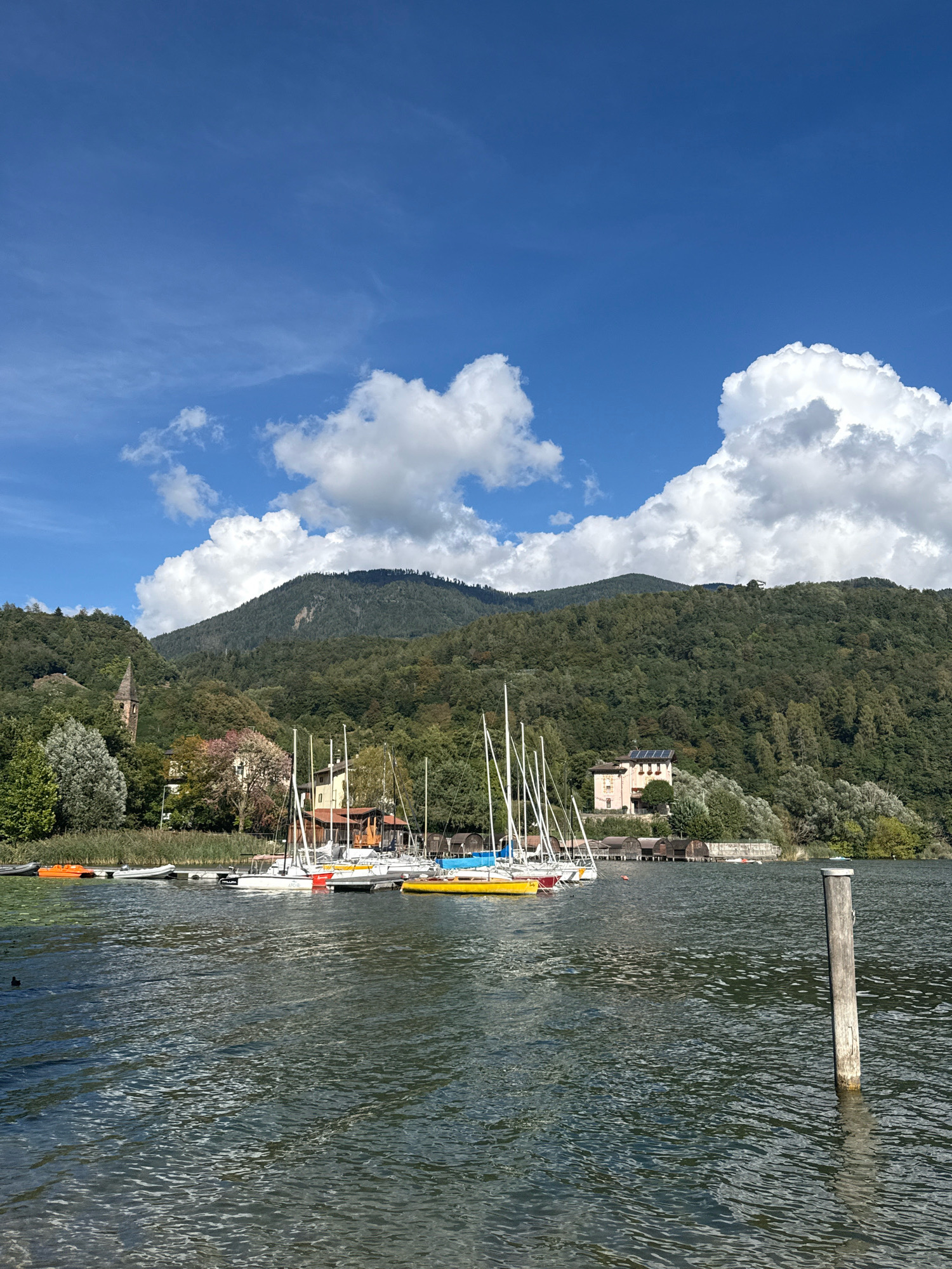 This image depicts a scenic view of a lake and its surrounding landscape under a bright blue sky with scattered white clouds. In the foreground, the dark, rippling surface of the water dominates, with a wooden post partially submerged on the right side. Along the shoreline, a row of sailboats with white masts is moored. Some of these sailboats are tied to a dock, and one yellow sailboat is prominently visible. Behind the boats, a dense green forest covers rolling hills that rise towards a large mountain in the background. A few buildings are nestled amongst the trees, including a light-colored house with solar panels on its roof and a distant church steeple. The vegetation along the shore includes reeds and trees with some showing autumnal colors. The overall scene suggests a tranquil, possibly Mediterranean, setting, characteristic of areas like Pergine Valsugana in Italy, known for its lakes and mountainous terrain. No people are visible in the frame.