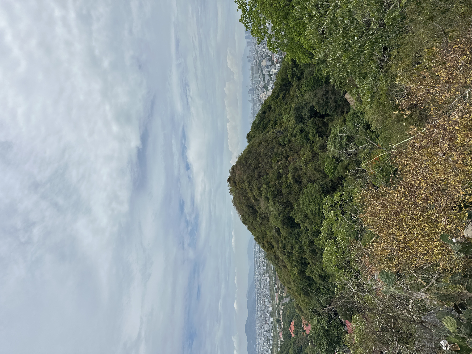The image shows a panoramic view from a hillside overlooking the city of Đà Nẵng, Vietnam. In the foreground, there is lush green vegetation, including trees and some dry, brush-like plants. The middle ground is dominated by a large, tree-covered hill. Beyond the hill, the city of Đà Nẵng spreads out with a mix of low-rise buildings and taller structures, including skyscrapers. The background features a hazy mountain range and a cloudy sky. The image appears to have been taken on an overcast day.