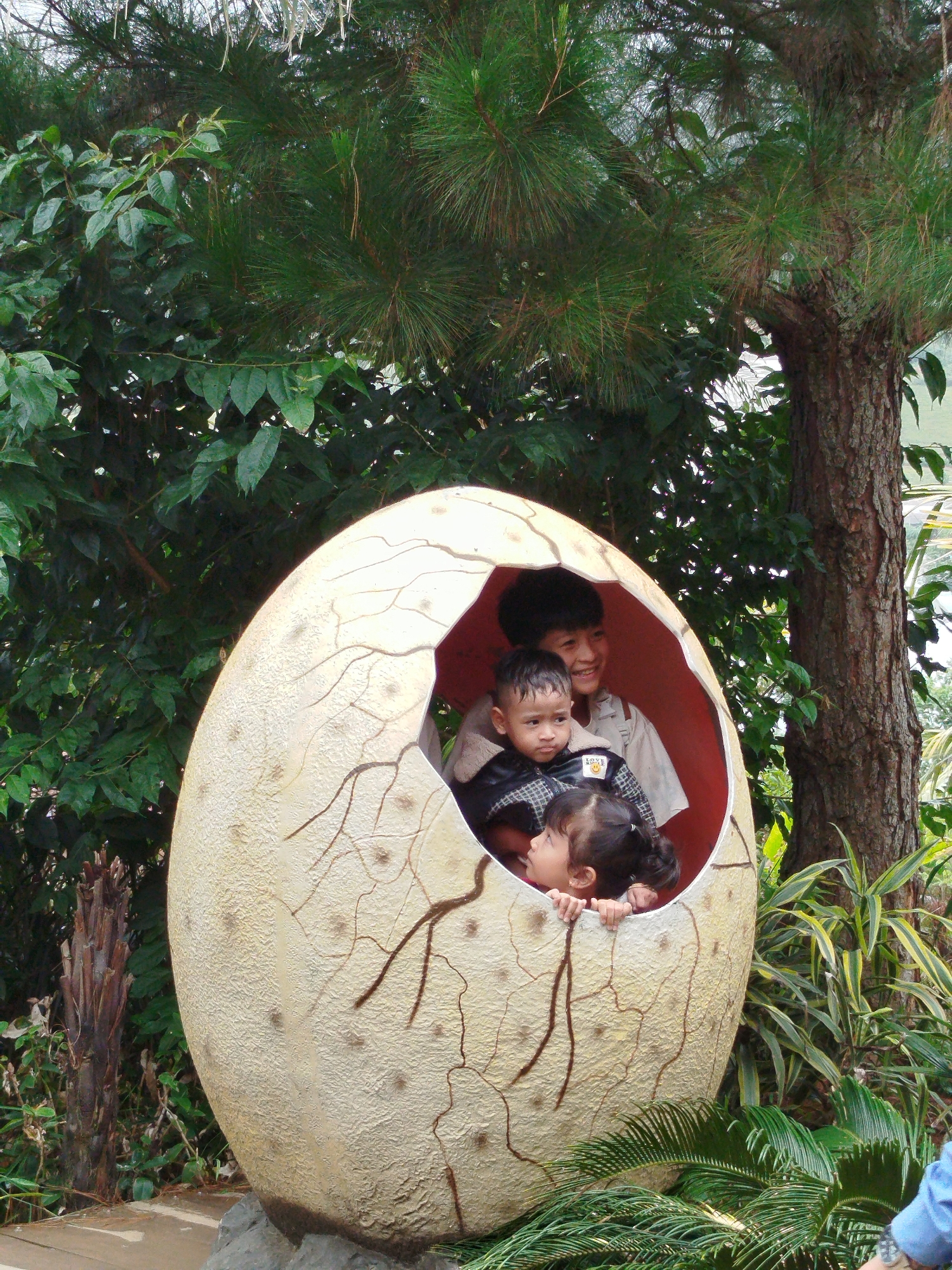 In Lạc Dương, Vietnam, an oversized, cracked, egg-shaped sculpture serves as a playful enclosure for three young children. The sculpture, textured and painted to resemble a weathered eggshell with dark brown crack lines, is situated outdoors amidst lush greenery and a large tree.
Inside the egg, a boy with dark hair, wearing a light-colored shirt with suspenders, smiles broadly, looking towards the camera. To his left and slightly lower, another young boy with short dark hair, dressed in a black jacket with a yellow and white emblem, looks to his left with a serious expression. Below them, a young girl with dark hair tied in pigtails peeks out from the opening of the egg, looking upwards and to her left.
The environment is dominated by dense foliage, with the branches of a large tree, likely a pine due to its needles, extending over the scene. The ground appears to be a mixture of dirt and paved surfaces. The lighting suggests it is daytime, with sunlight filtering through the leaves. The overall impression is a whimsical, outdoor attraction designed for children's amusement.
