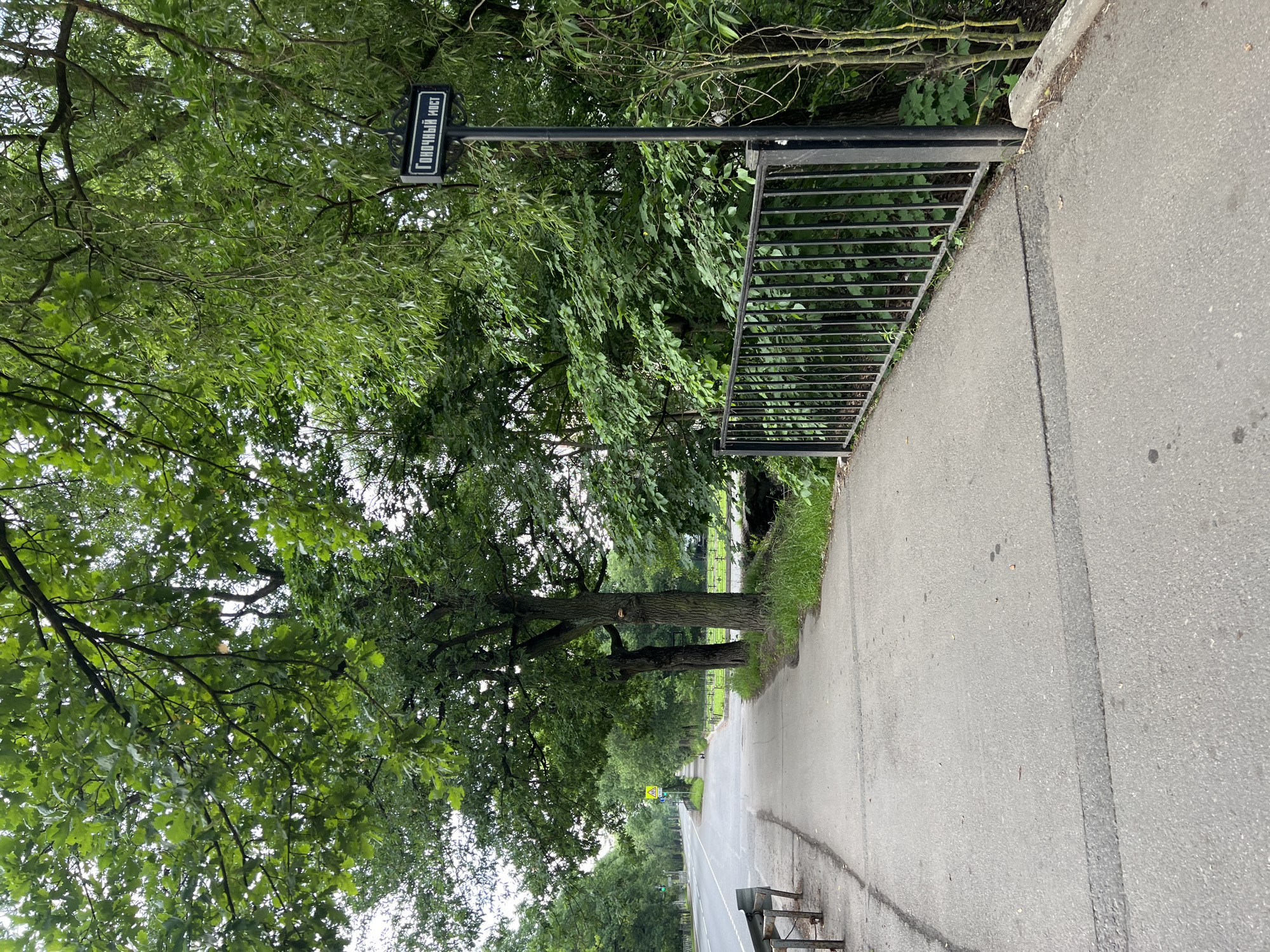 The image captures a paved pedestrian walkway running alongside a road, bordered by a metal railing on the right and trees on both sides. A black lamppost with a sign reading "ГОНЧАРНЫЙ МОСТ" (Pottery Bridge) in white Cyrillic letters stands on the right side of the walkway, near the railing. The walkway curves gently to the left, leading into the distance. On the left, a two-lane asphalt road stretches out, with a few cars visible further down. A green traffic light is illuminated on the road. The environment appears to be a park or a tree-lined street, with lush green foliage, including large oak and willow trees, dominating the scene. The ground is covered with a gray asphalt pavement, with some fallen leaves and debris scattered on it. The overall impression is one of a quiet, overcast day in an urban green space.