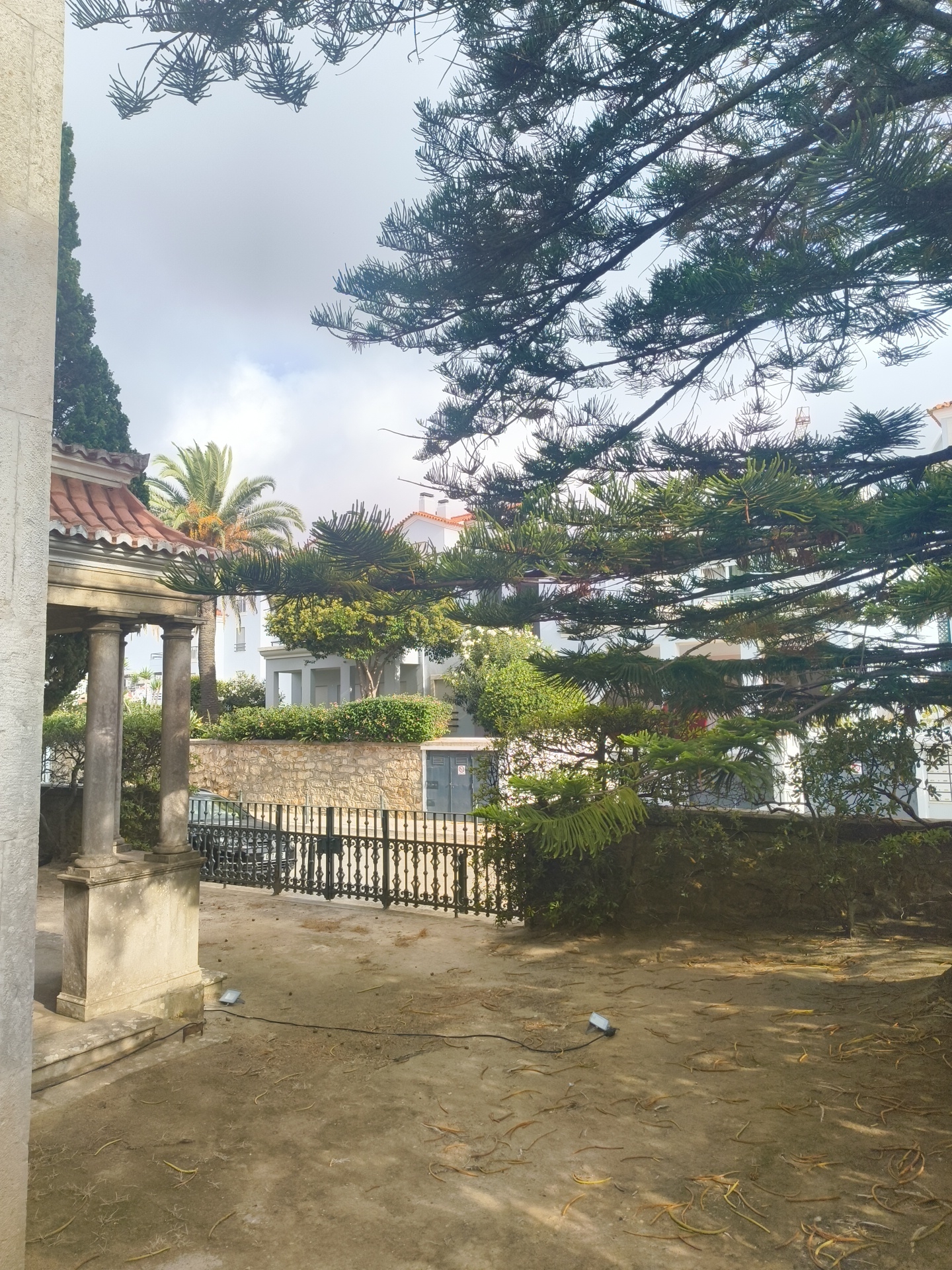 The image depicts an outdoor scene, likely in Cascais, Portugal, characterized by a combination of architectural elements and natural vegetation. In the foreground, to the left, is a stone structure with classical columns and a red-tiled roof, possibly a pavilion or part of a larger building. Adjacent to this structure is a gravelly ground area with scattered dry leaves and a single light fixture on the ground. A black wrought-iron fence separates this area from a stone wall and a paved pathway beyond, on which a dark vehicle is visible. Behind the wall and fence, a row of white buildings with red roofs is apparent, interspersed with lush green trees and palm trees. Overhanging branches of a large pine tree frame the upper portion of the image, with its needles creating a dense, textured canopy against a cloudy sky. The overall impression is one of a tranquil, semi-tropical garden setting within an urban or suburban environment.