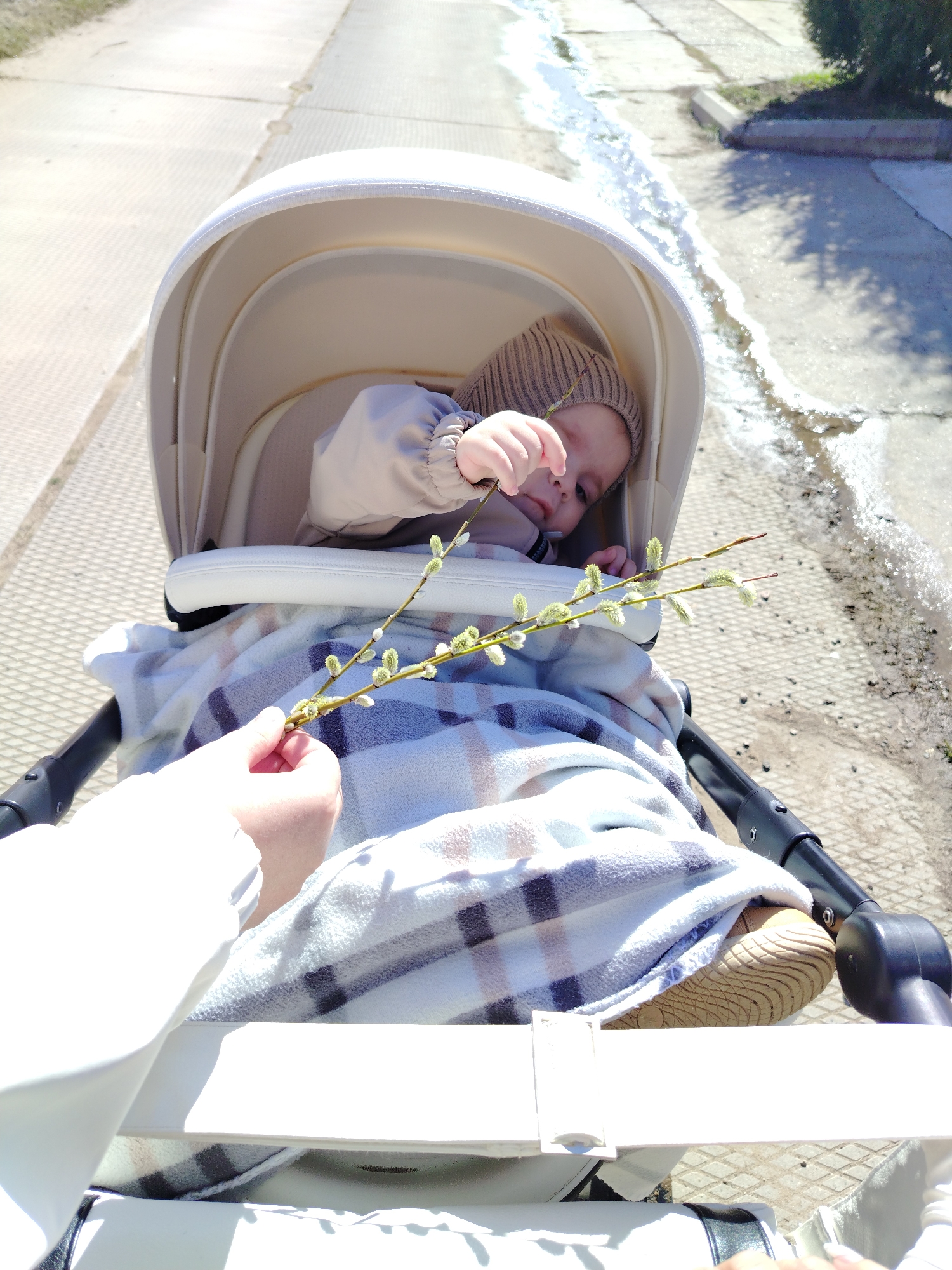 Here is a detailed description of the image:
**Scene:** A baby lies in a stroller on a paved walkway. The walkway appears to be adjacent to a street or road, where water is present.
**People:** A baby is present in the stroller, wearing a knit hat and clothing. An adult holding a willow branch and also wearing white can be seen in the foreground.
**Subjects:** The baby is the main subject in the stroller, covered with a plaid blanket. The willow branch being offered is a secondary subject.
**Objects:** A stroller with a canopy, a plaid blanket, a willow branch, and the paved walkway.
**Actions:** The adult is holding a willow branch towards the baby. The baby's hand is reaching up towards the willow branch.
**Interactions:** The primary interaction is between the adult and the baby, likely to show the willow branch to the baby.
**Environment:** The scene appears to be outdoors, likely on a sunny day, given the bright lighting and visible shadows. The location is a paved walkway. The presence of water alongside the path suggests a melting snow or a recently wet environment.