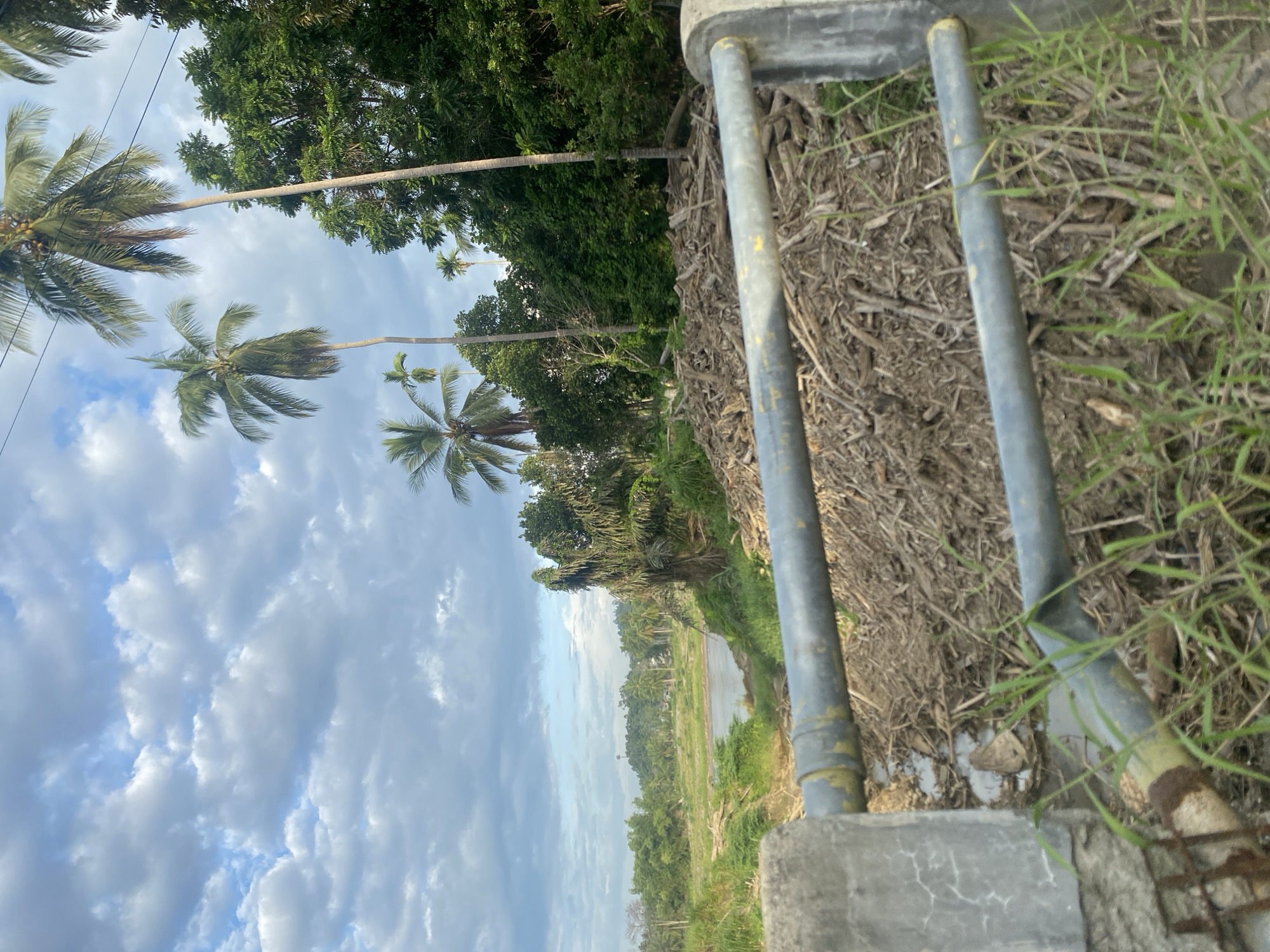 The image shows a view from what appears to be a bridge or elevated structure, looking out over a rural landscape. The foreground features concrete elements and two grey metal pipes. Beyond this, there's a ditch-like area filled with dried vegetation and some green grass. In the mid-ground, a body of water meanders through a flat, green landscape. Beyond that are groves of trees and palms under a cloudy sky. This scene is located in the city of Kruengbeukah, Indonesia. There are no people visible. The overall impression is of a calm, rural scene.