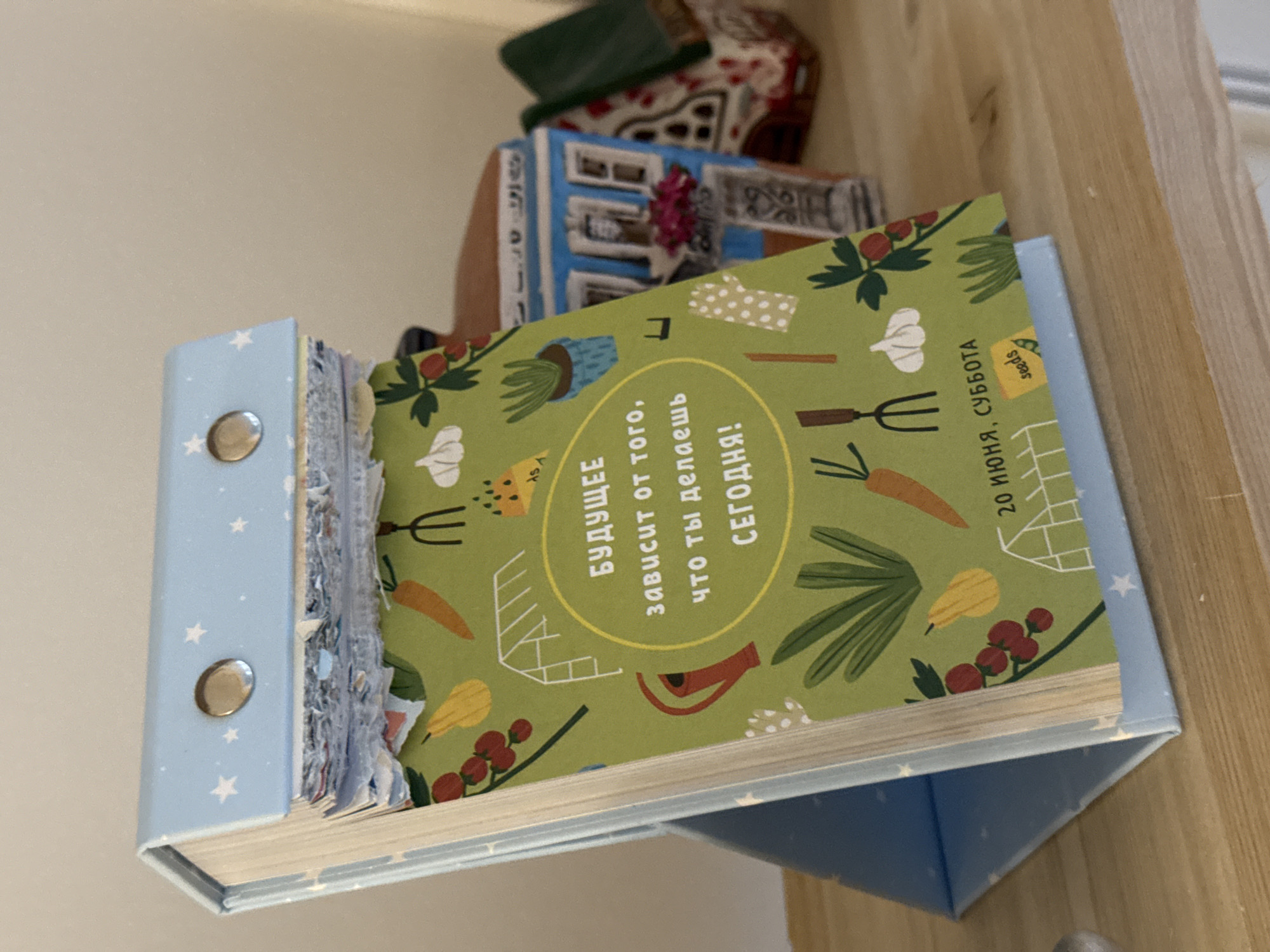 A close-up, eye-level, indoor shot shows a flip calendar on a wooden shelf. The calendar has a light blue cover decorated with white stars and two silver fasteners at the top. The calendar pages are green with a cartoonish illustration of various garden elements like carrots, garlic, strawberries, a watering can, a greenhouse, and gardening tools. In the center of the page, there is a yellow oval with Russian text that translates to "The future depends on what you do today!". Below the oval, it reads "June 20, Saturday" and a small yellow packet labeled "seeds" is visible. To the right of the calendar, two miniature decorative houses are partially visible. The house on the left is blue with white window frames and red flowers on the windowsill. The house on the right has a green roof and red and white decorations. The overall lighting is soft, and the focus is on the calendar. The image was taken in Izhevsk, Russia.