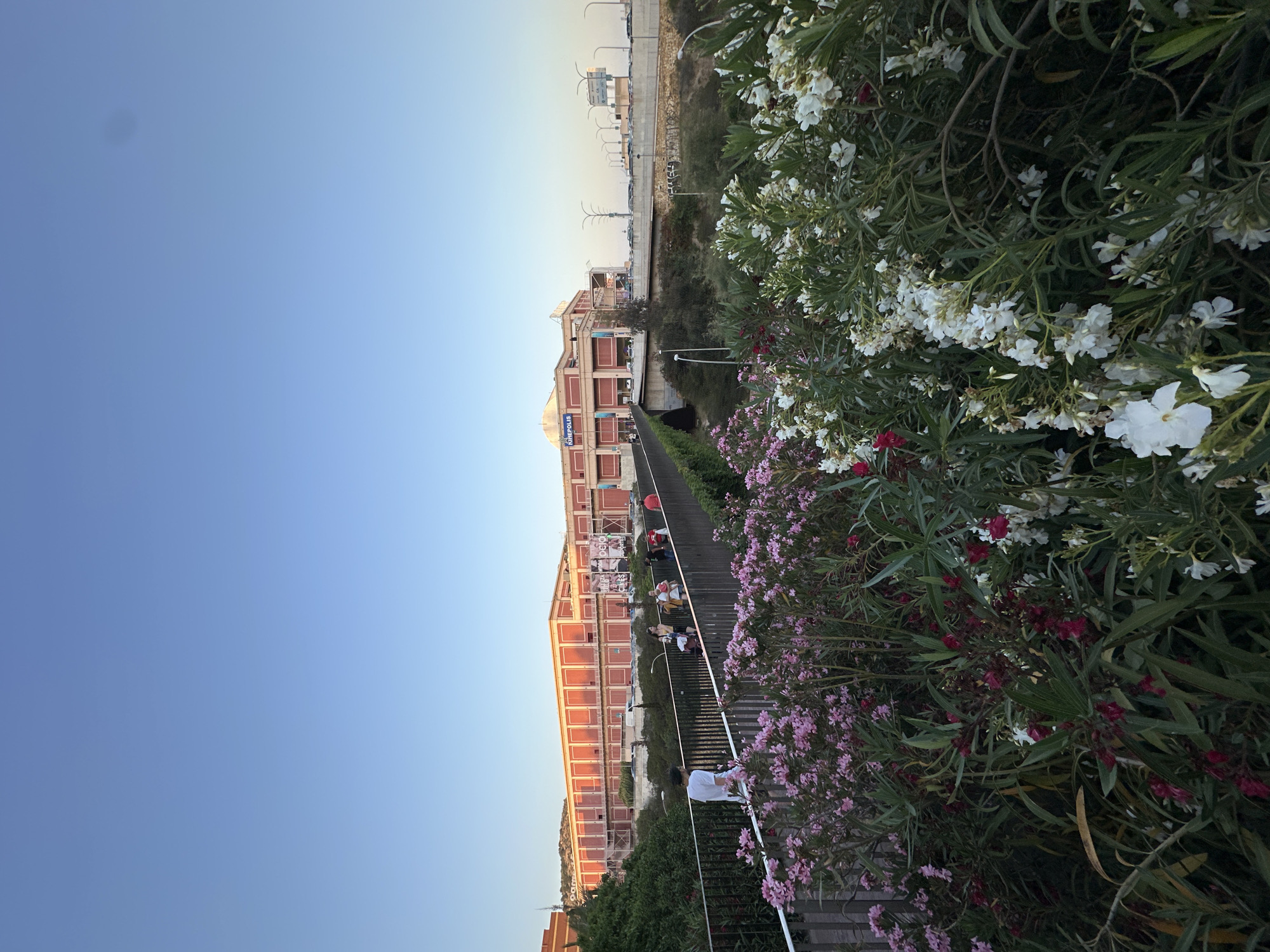 The image shows a pedestrian bridge with people walking across it, leading towards a large, multi-story building with red and pink accents. The building has a sign that appears to read "KINEPOLIS". The bridge is lined with lush green foliage and flowering plants in shades of pink and white, suggesting a pleasant outdoor environment. The sky is a clear, light blue, indicating fair weather. In the background, there are roads and other structures, suggesting an urban setting. The overall scene depicts a public space with people enjoying a walk on a sunny day.
