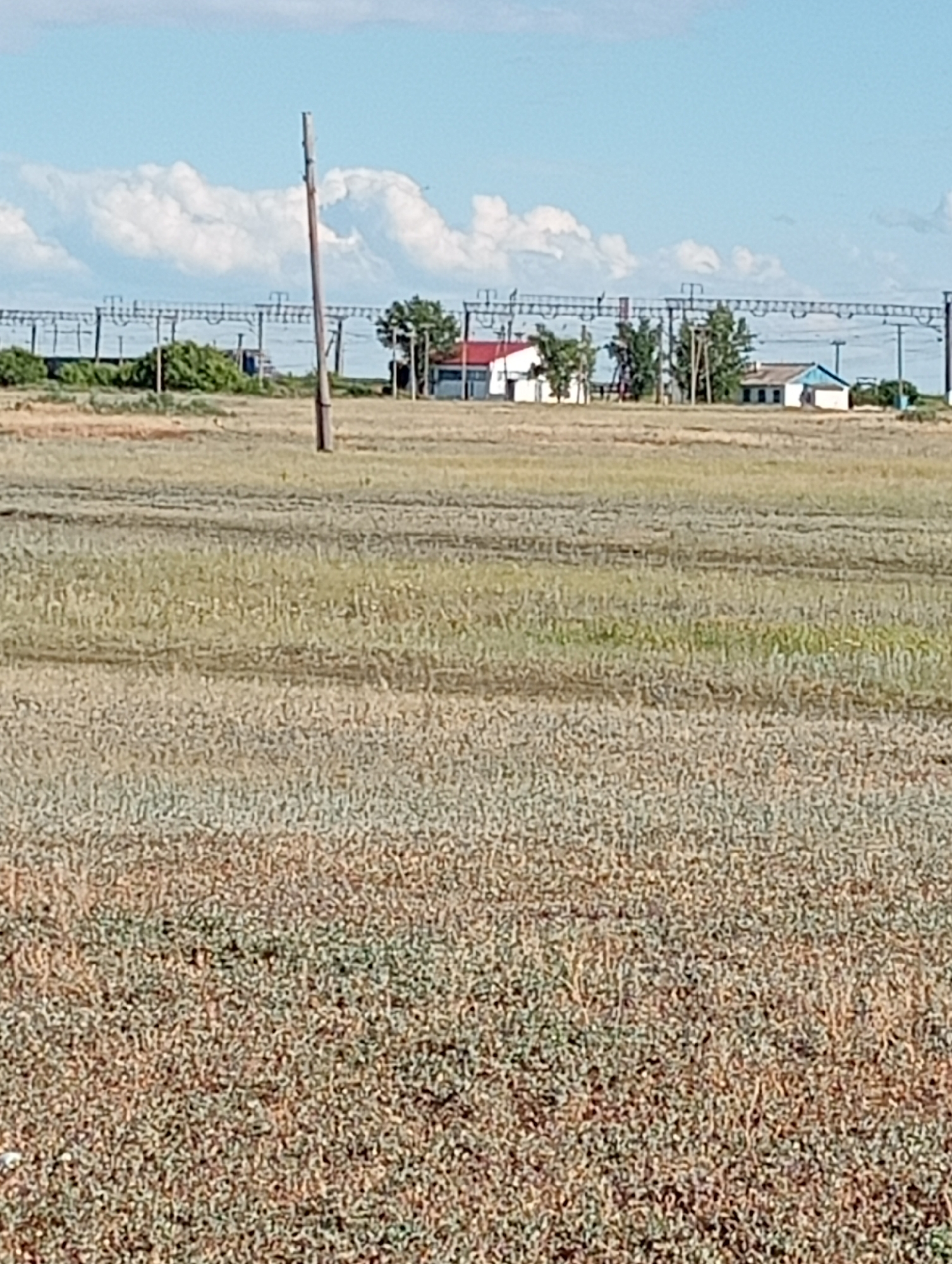 The image shows a rural landscape under a partly cloudy sky. In the foreground, there is a field of dry, sparse vegetation. In the middle ground, a power line stretches horizontally across the scene, supported by poles. Behind the power line, there are a few buildings, including a white building with a red roof and another white building with a blue roof, set amongst some trees. A single wooden pole stands vertically in the middle of the foreground field. The overall impression is of a sparsely populated area, possibly on the outskirts of a town or village.