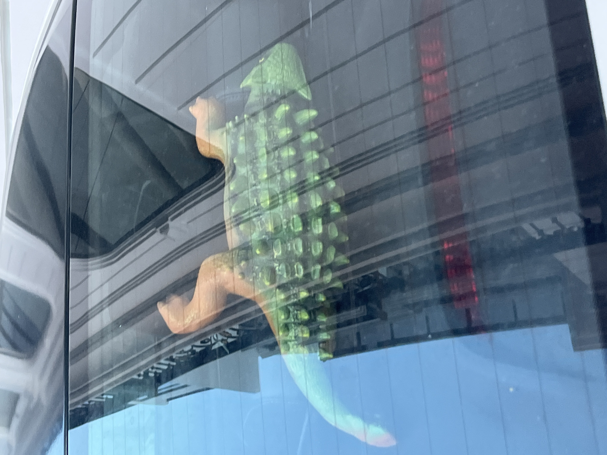 The image shows a toy dinosaur with an orange body and a green spiky back resting on the rear window of a vehicle. Reflections on the window obscure details of the surrounding environment, but hints of vertical lines and a red brake light suggest an urban setting, possibly a street in Bac Nha Trang Ward, Vietnam. The toy's tail is light blue and pink, and its head appears to be a reddish-orange color. The vehicle's window is tinted.
