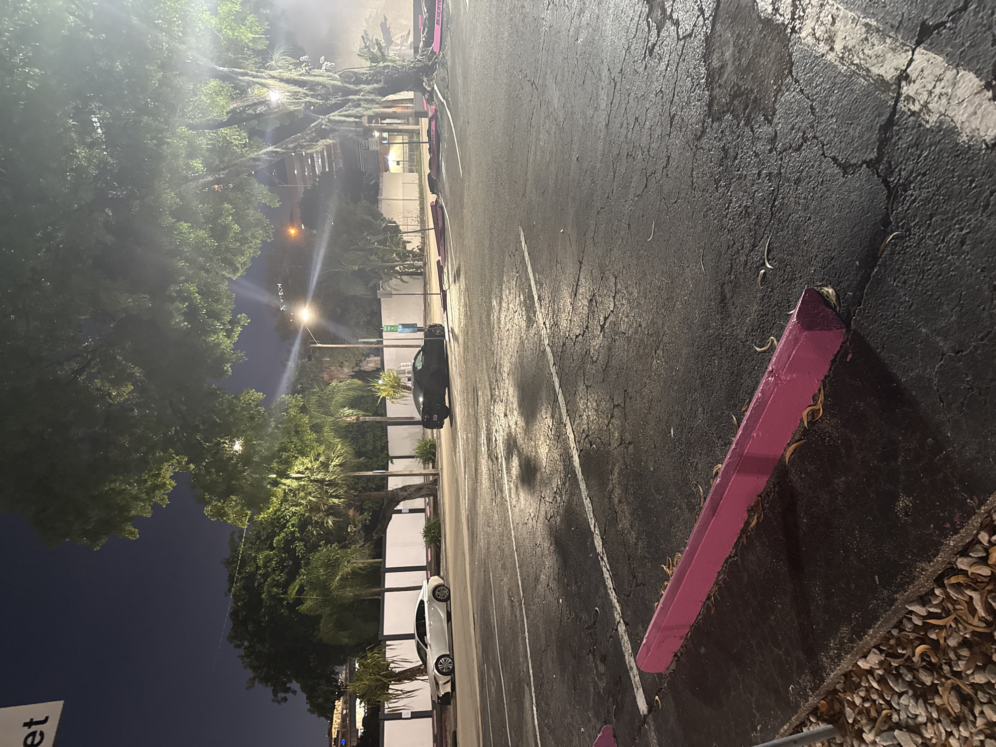 The image presents a nighttime parking lot scene, possibly in Miami, United States. The surface is asphalt, showing cracks and lines indicating parking spaces. Some pink concrete dividers are partially visible along the edges of the parking spaces. Vehicles are parked in some spaces, including a black car and a white car. Vegetation, including palm trees and other trees, surrounds the parking lot, and streetlights illuminate the area. The background includes a building facade with white walls.