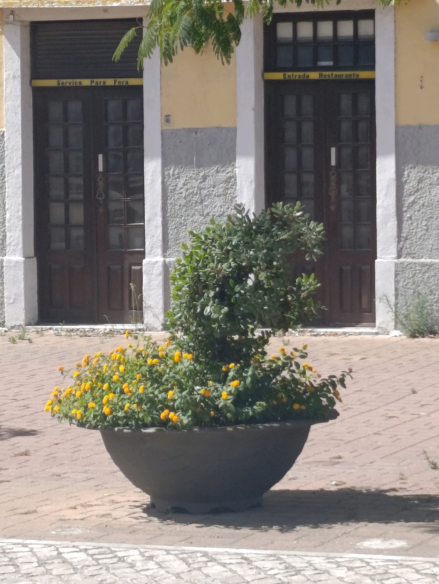 This image depicts the exterior of a building with two large wooden doors. The left door has a yellow sign above it that reads "Servico Para Fora". The right door has a yellow sign above it that reads "Entrada Restaurante". Both doors have glass panes and dark wooden frames. The building's facade is painted in yellow and gray tones, with a rough textured gray stone section between the doors. A large, dark gray planter filled with a dense bush and numerous small yellow flowers sits on a brick-paved walkway in front of the doors. The planter is positioned centrally in the frame. Green tree branches hang from the top of the image, partially obscuring the building's upper section. The ground is paved with interlocking bricks and some cobblestones in the foreground. The scene appears to be an outdoor urban setting.