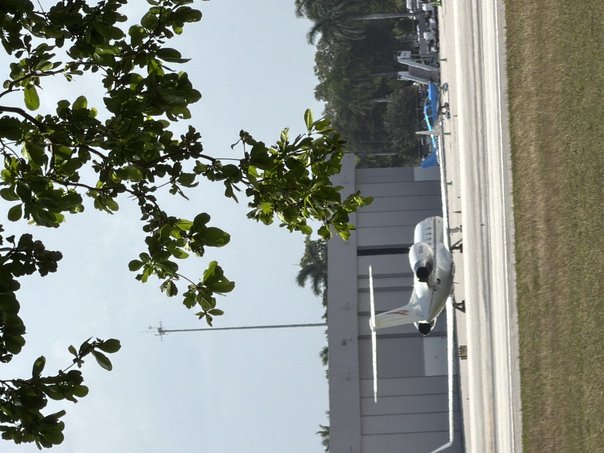 The image depicts a scene at an airport in Dania Beach, United States of America. In the foreground, green foliage from a tree hangs down, obscuring parts of the sky and the background. A white private jet is positioned on the tarmac, with its tail and engines visible. Further in the background, a smaller blue airplane is parked. A building, likely a hangar, is visible behind the white jet. Several palm trees and other vegetation are present in the mid-ground and background, suggesting a tropical or subtropical environment. The sky is overcast. There are no people visible in the image. The overall scene conveys a sense of an active aviation environment.