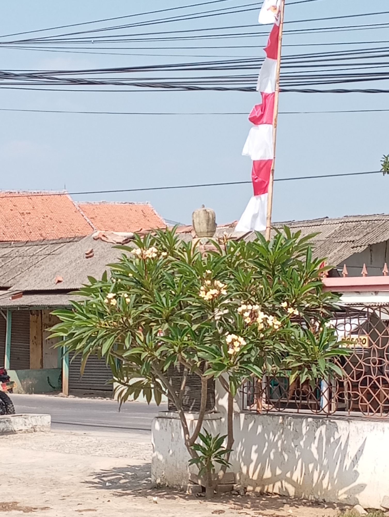 A medium shot shows a street scene in Kecamatan Haurgeulis, Indonesia, on a sunny day. In the foreground, a small tree with green leaves and white flowers stands in front of a white concrete wall. Behind the tree, a decorative metal fence encloses a property. In the mid-ground, a paved road runs horizontally across the image, with a parked motorcycle visible on the left. Buildings with red tile roofs and gray, corrugated metal roofs are visible behind the road. Overhead, a tangle of power lines stretches across the sky. A tall flagpole with a red and white Indonesian flag is positioned behind the tree, its fabric rippling in the breeze. The sky is clear and blue.