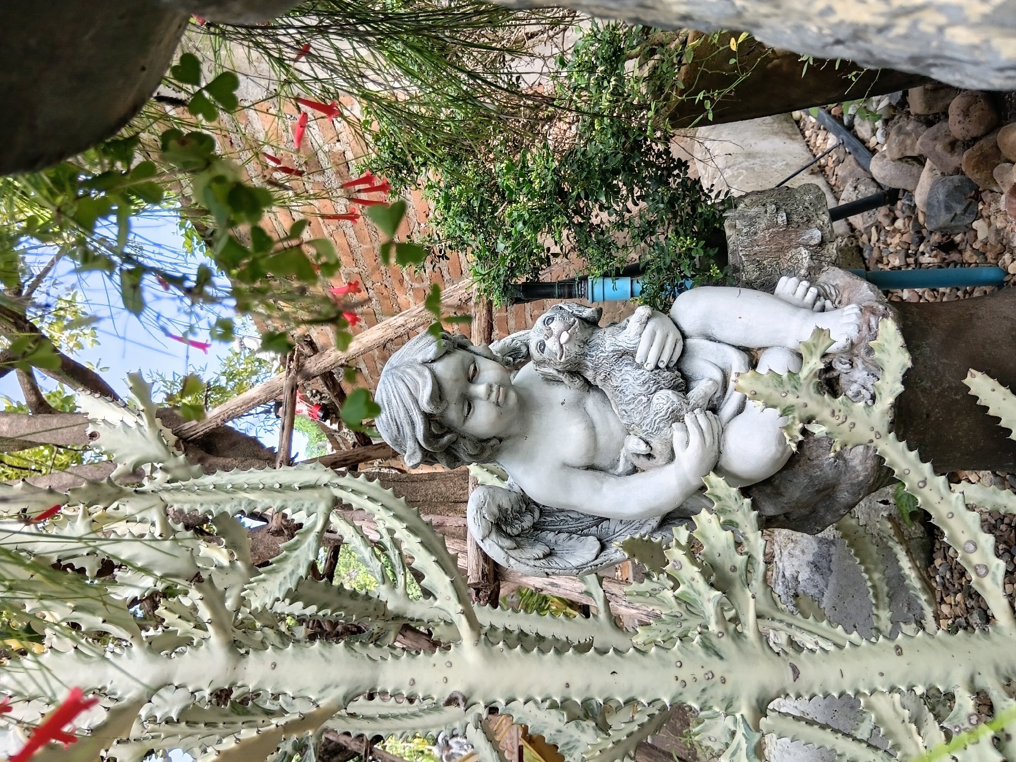 The image shows a statue of a cherub holding a dog in what appears to be an outdoor garden setting. The statue is made of a light-colored material, possibly stone or concrete, and depicts the cherub with wings, a serene expression, and curly hair. The dog is small and furry, with its tongue sticking out. The statue is positioned on a rough, circular base.
In the background, there is a brick wall, lush green foliage, and trees. Some red flowers are visible hanging from vines. The overall environment suggests a garden or courtyard, possibly in a residential or public area in Ban Tong, Thailand. The lighting indicates it is daytime, with sunlight filtering through the leaves. The ground is covered with small stones and pebbles. The presence of a blue pipe running vertically near the statue suggests some form of irrigation or plumbing.