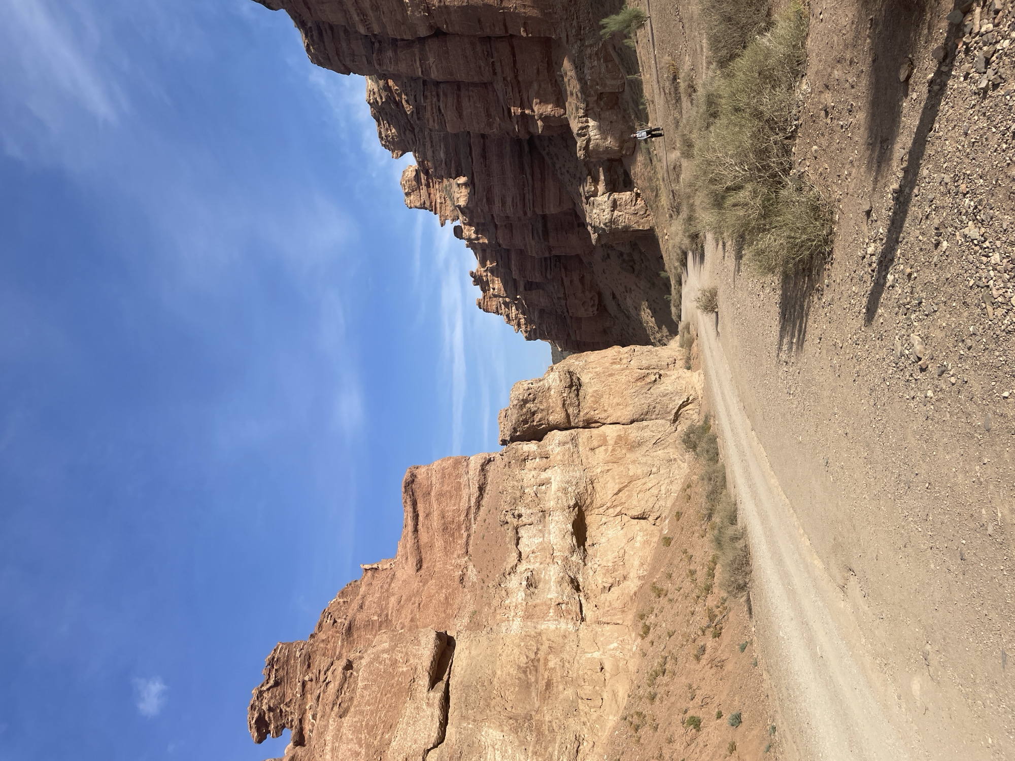 The image captures a view within the Charyn Canyon, located near Tamerlik, Kazakhstan. The scene is dominated by towering, reddish-orange sandstone cliffs that form a natural gorge. A dirt road, appearing to be a pathway or track, runs through the center of the canyon, leading the viewer's eye into the distance. Sparse, dry vegetation, consisting of shrubs and bushes, is scattered along the sides of the road and on the lower slopes of the canyon walls. The sky above is a clear, bright blue with a few wispy clouds. In the mid-ground, a lone figure, dressed in dark clothing with a white top, is visible walking on the right side of the road, facing away from the camera, providing a sense of scale against the immense rock formations. The overall impression is one of a vast, arid, and natural landscape.