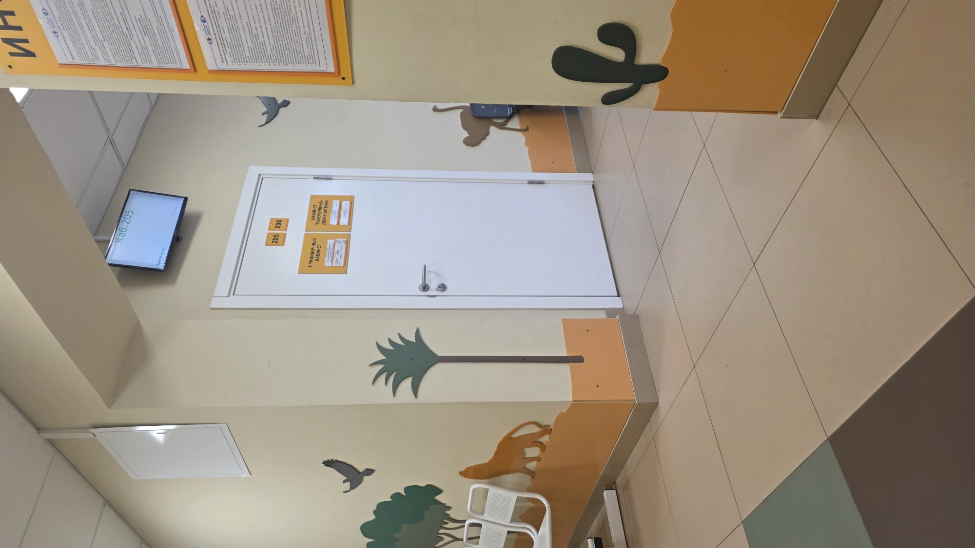 The image shows an interior hallway in a medical facility, potentially located in Saint Petersburg, Russia, as suggested by the Cyrillic text on signage. The hallway walls are light yellow with a whimsical desert theme, featuring decorative cutouts of animals (lion, monkey), cacti, and palm trees at the base. Two doors are visible; one is white with signs indicating rooms 205 and 206, likely for medical examinations. A digital display showing "Kab. 205" is mounted above the doorframe. The floor is tiled in a beige and light brown checkerboard pattern. White chairs are partially visible in the foreground. The lighting appears bright and artificial, typical for a clinic or hospital. No people are visible in the scene.