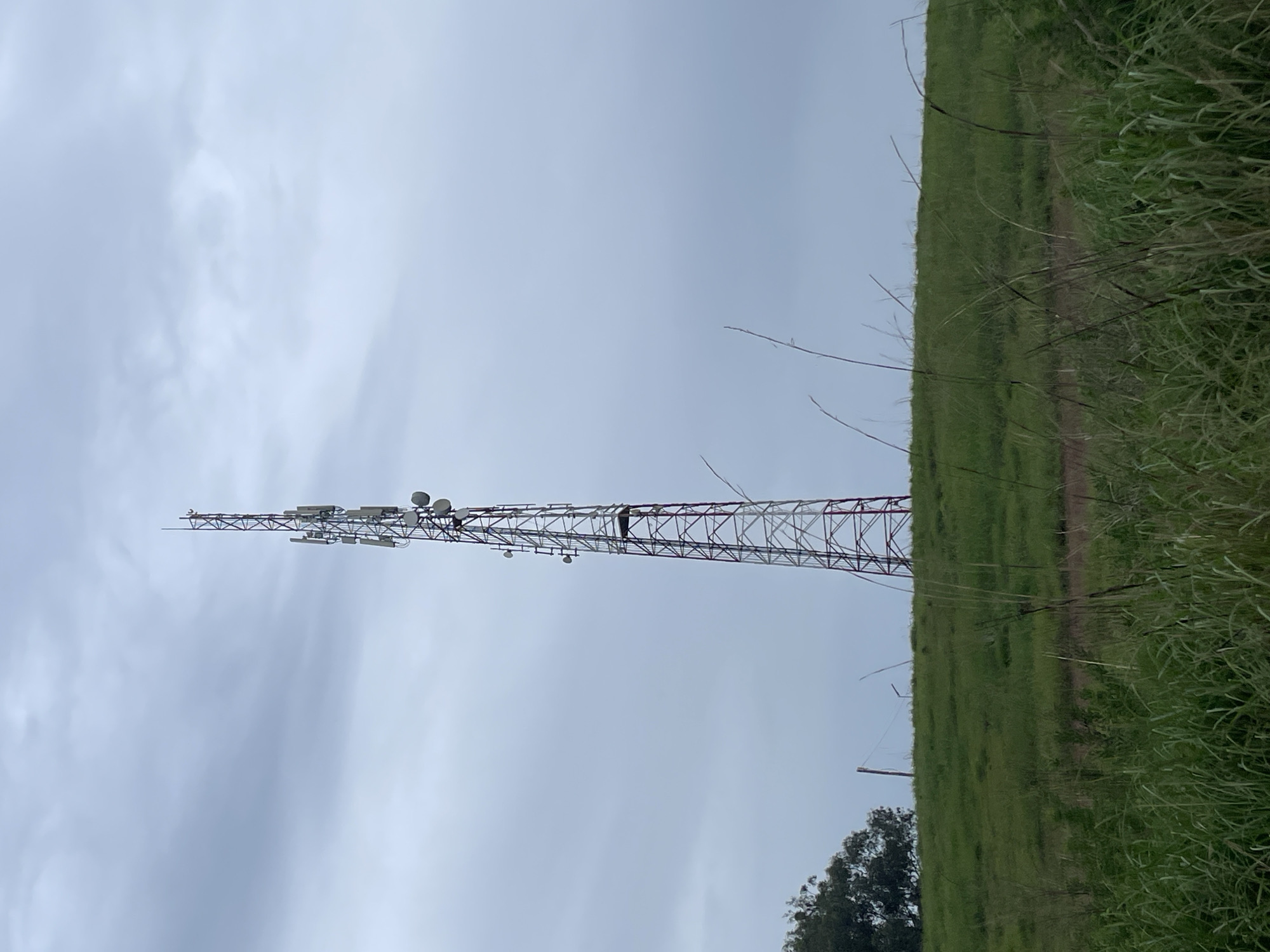 A tall, lattice-style cell tower, painted red and white, stands in the center of the frame against a cloudy, gray sky. The tower is equipped with multiple antennas and dishes. In the foreground, a grassy hill slopes upwards, with tall blades of grass and other vegetation obscuring the lower portion of the scene. To the left, a dense cluster of green trees is visible. The overall environment appears rural or semi-rural, characteristic of the outskirts of Durumi, Nigeria. There are no people or discernable actions taking place.