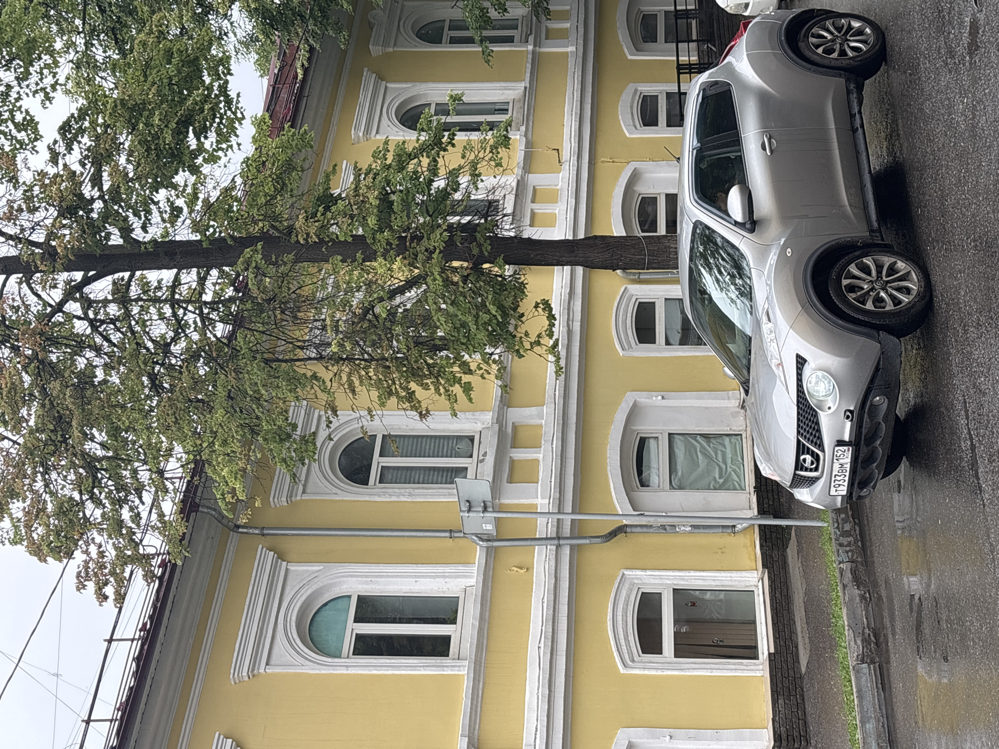 A silver Nissan Juke is parked on a wet street in front of a yellow building with white trim. The building has several arched windows. A large tree with green leaves stands between the car and the building. The sky is overcast.