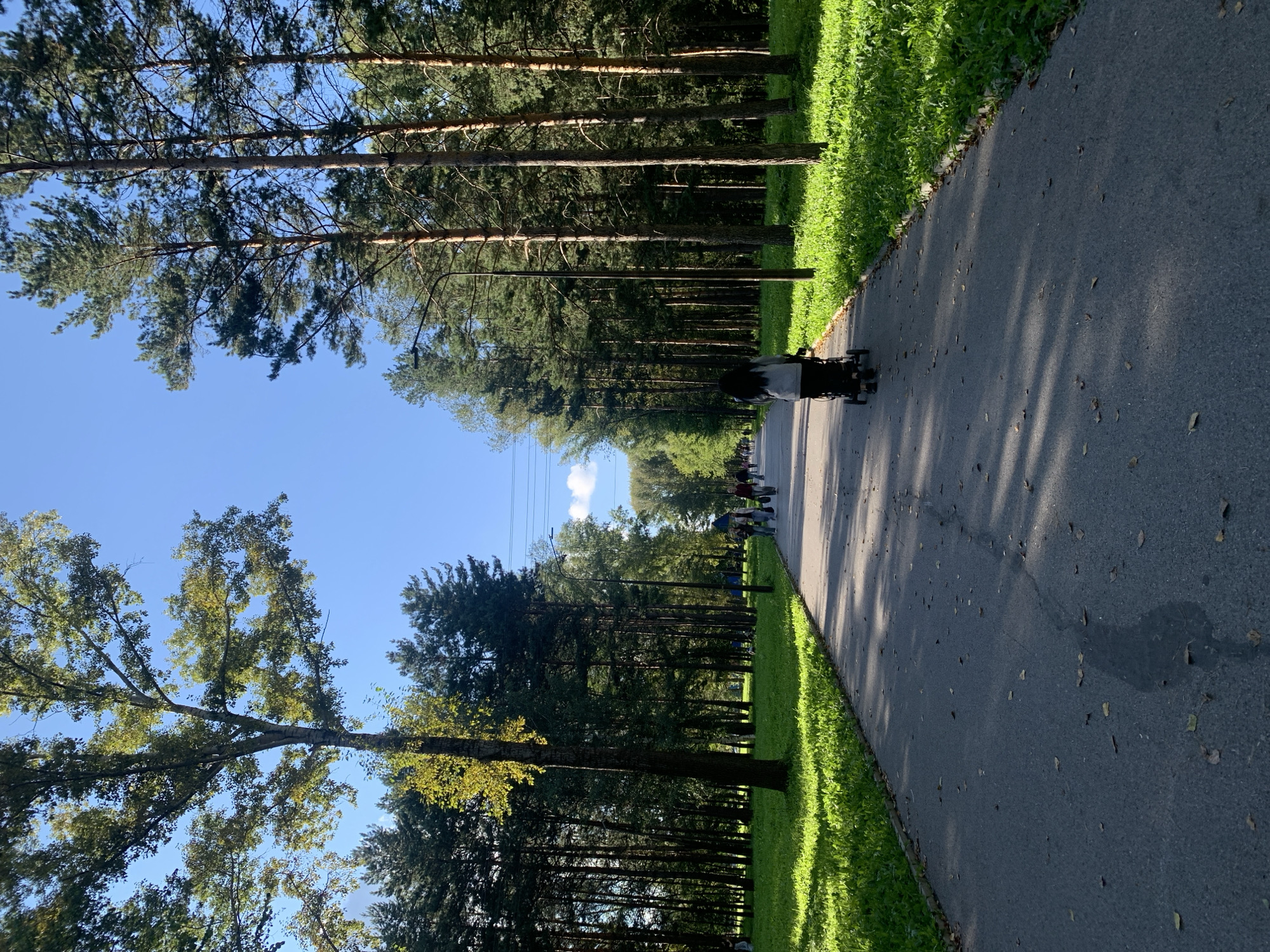 An eye-level, medium shot captures a paved pathway through a park on a clear, sunny day. The pathway, marked by a few scattered leaves, leads into the distance and is flanked by lush green grass on both sides. Towering pine trees form a dense forest along the right side of the pathway, their tall, slender trunks casting long shadows across the asphalt. On the left, a mix of deciduous and coniferous trees creates a vibrant green backdrop.
In the foreground, a person with long dark hair, wearing a light gray hooded jacket and dark pants, pushes a black stroller along the pathway. Further down the path, a small group of people can be seen walking. Overhead, power lines are visible against the bright blue sky, with a few wispy clouds. The lighting suggests it is late afternoon, indicated by the long shadows.
The location is believed to be the Arboretum Park in Prokopyevsk, Russia, based on visual similarities to known images of the park.