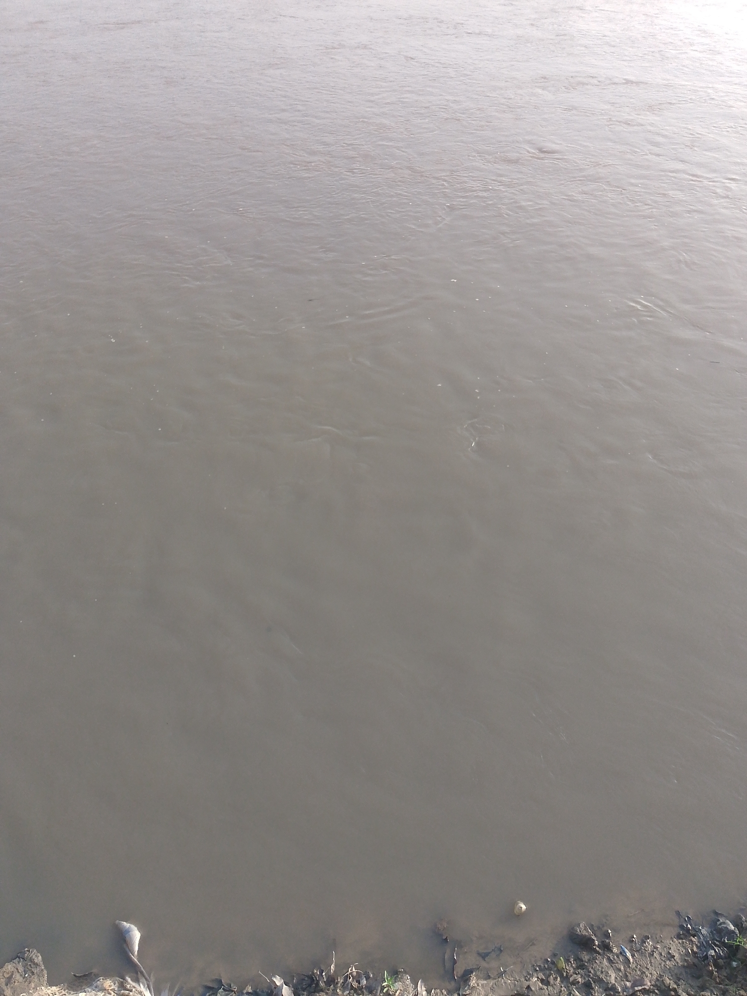 This is an image of a muddy, slow-moving riverbank in Jalingo, Nigeria. The water is a murky brown color, with some ripples and debris visible on the surface. The riverbank is lined with dirt, rocks, and some sparse vegetation. There is a white object, possibly a piece of trash or debris, partially submerged in the water near the bottom left of the frame. The scene appears to be an undeveloped or natural area, not a populated urban center.