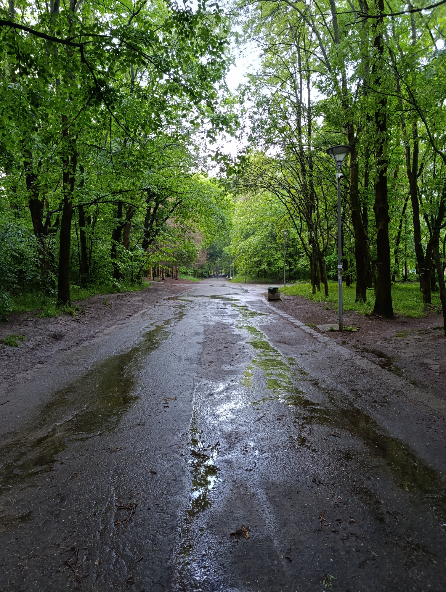 The image shows a wet, possibly paved path in a park, lined with trees. There are large puddles on the path, reflecting the sky and trees. The trees are green, indicating it is likely spring or summer. There is a street lamp visible on the right side of the path. The photo was taken on a cloudy day. The scene is in a park of the city of Sofia, Bulgaria.