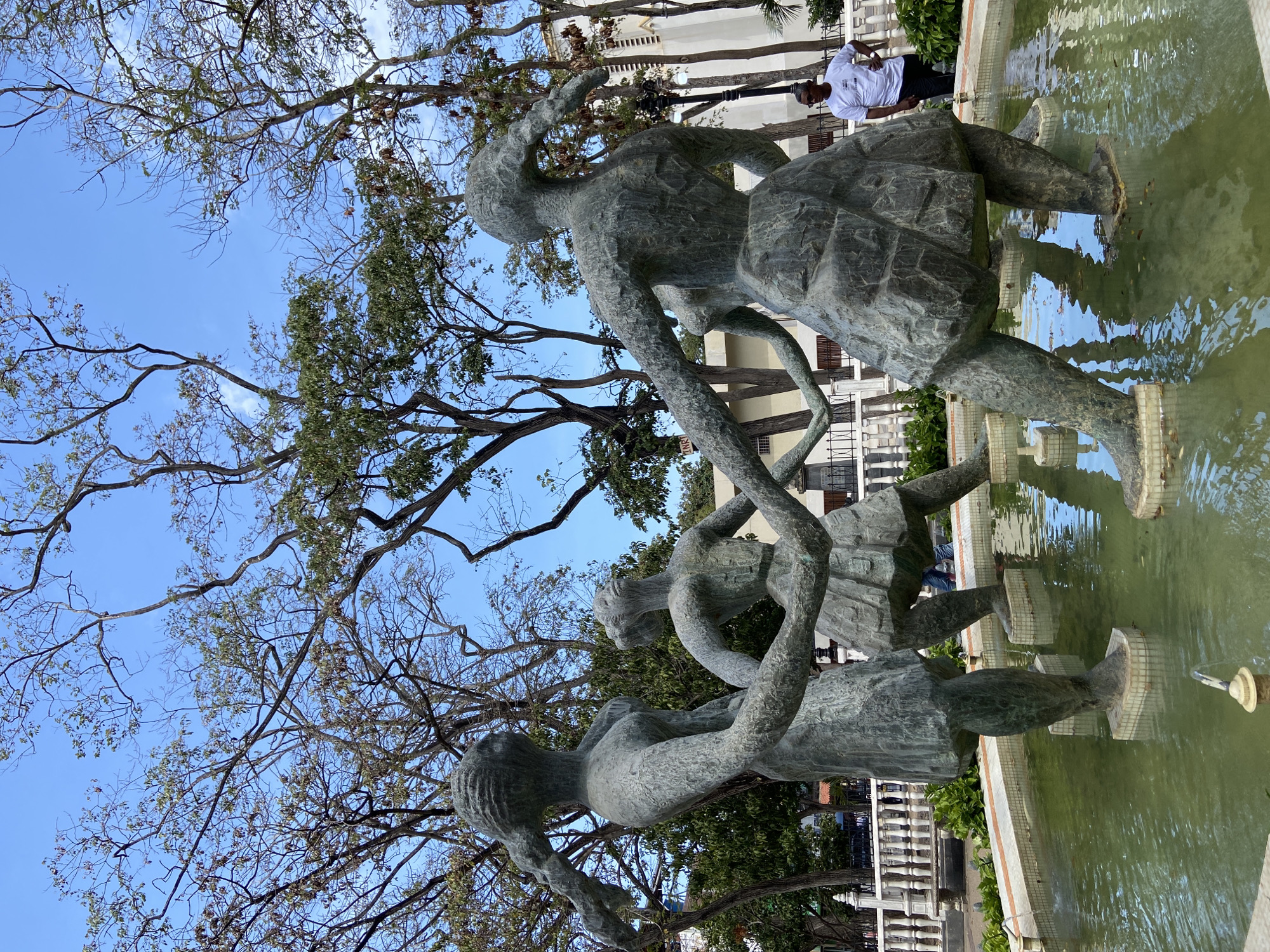 The image depicts a sculptural fountain in the city of Porlamar, Venezuela. Three metal figures of women in dresses stand hand-in-hand in the center of a circular pool. Their reflections are visible in the water. Bare branches of trees are above the sculpture, and the blue sky is visible between the branches. In the background, a building with a white exterior can be seen, as well as a man wearing a white shirt and dark pants. A white fence surrounds the fountain and plants appear around the edge of the pool.