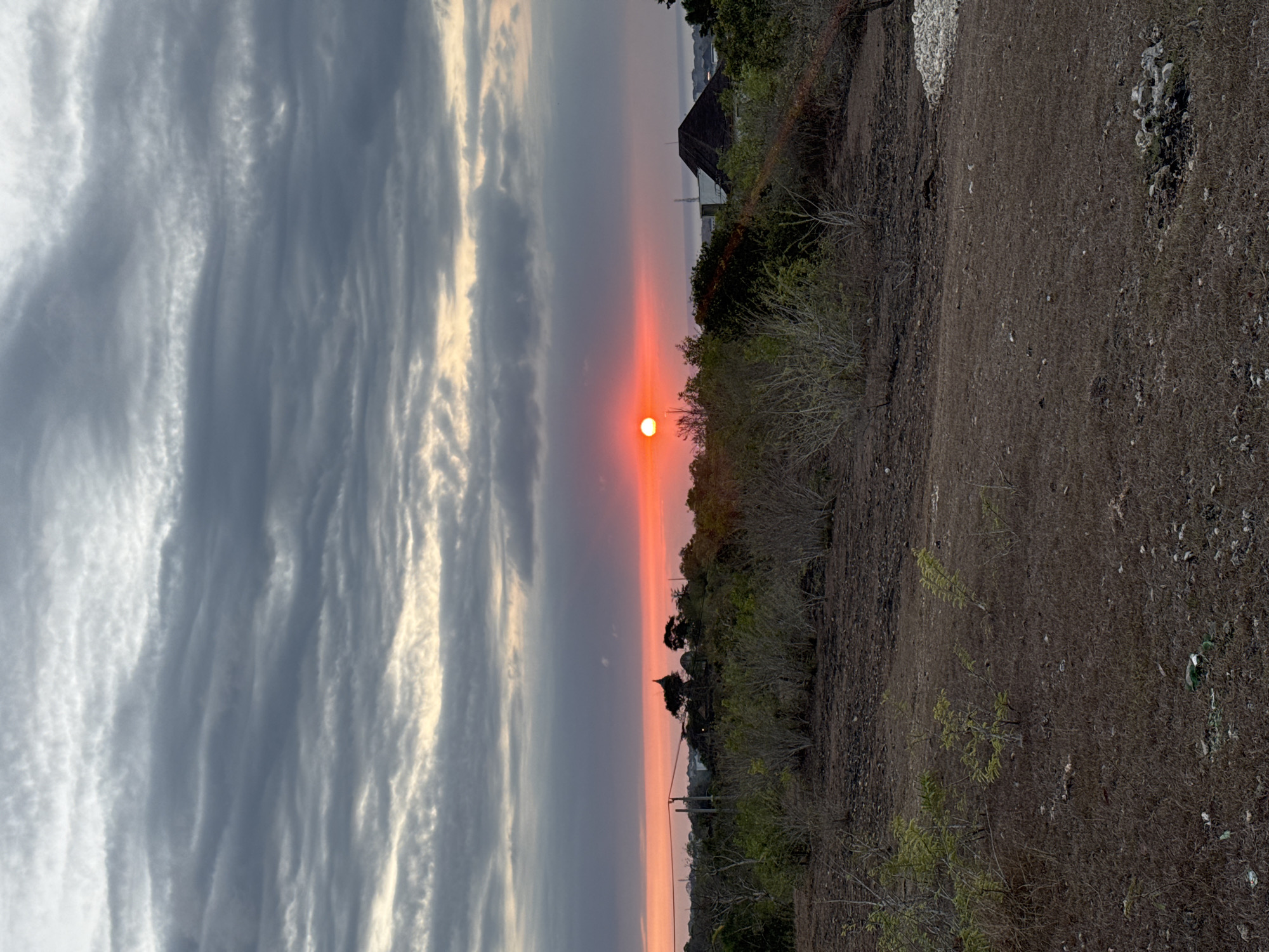 The image depicts a sunset over a landscape that appears to be Kuta Selatan, Indonesia. The sun, a vibrant orange orb, is partially obscured by clouds and low-lying vegetation, casting a warm glow across the sky. The sky itself is a dramatic canvas of grays, purples, and oranges, with heavy, textured clouds suggesting an impending change in weather.
In the foreground, dry, barren earth is dotted with small, sparse green plants and scattered rocks. The midground is characterized by a dense growth of trees and shrubs, some appearing dry and leafless, while others show signs of greenery. A prominent dark-colored, angular structure, possibly a building with a steeply pitched roof, is visible on the right side of the frame, partially nestled among the trees. Further to the left, silhouetted against the sunset, are the tops of trees and what might be a structure or monument with a distinctive shape. Power lines are also visible in the distance. The overall impression is one of a natural landscape with some human presence, possibly in a rural or semi-developed area.