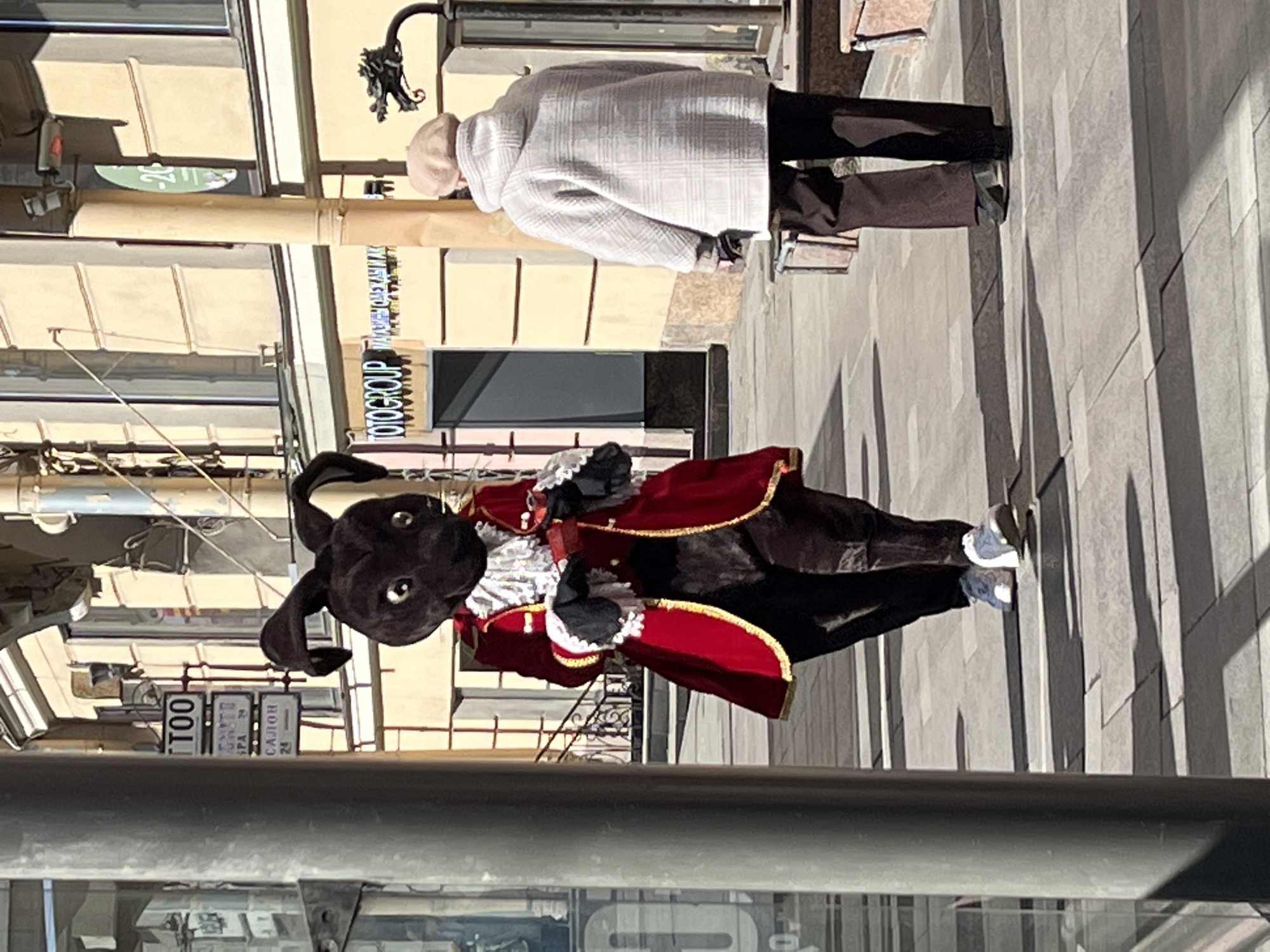 The image depicts a daytime street scene in the city of Saint Petersburg, Russia, likely on Nevsky Prospekt, characterized by historic buildings with light-colored facades. The foreground on the left features a prominent grey cylindrical pole.
Two individuals are visible on a paved sidewalk of light and dark grey tiles.
1. On the left, a person is dressed in a full-body mascot costume resembling a dark brown or black rabbit or hare. The costume features large ears, white eyes, and a small pink nose. The individual wears a red, long-sleeved coat with gold trim, a white ruffled jabot, black cuffs with white lace, black trousers, and white sneakers. The mascot holds a small red, heart-shaped object in its gloved hands and appears to be walking forward.
2. On the right, a second person is seen from the back, walking away from the viewer and slightly past the mascot. This individual wears a light beige beret, a light-colored, plaid, hooded coat, and dark trousers. They carry a dark object, possibly a wallet or small bag, in their left hand.
The background consists of multi-story buildings with light beige or yellow facades, featuring numerous windows. Above the storefronts, several signs are visible: "TOTOGROUP" in blue lettering, and signs with Cyrillic text including "TOO" (likely part of "TATTOO"), "ЭНТО", "СПА" (SPA), "САЛОН" (SALON), and the number "24". A thin, light-colored utility pole stands between the two individuals. To the far right, an ornate dark metal post topped with a decorative dragon-head sculpture is visible. Strong shadows are cast on the sidewalk, indicating bright sunlight.