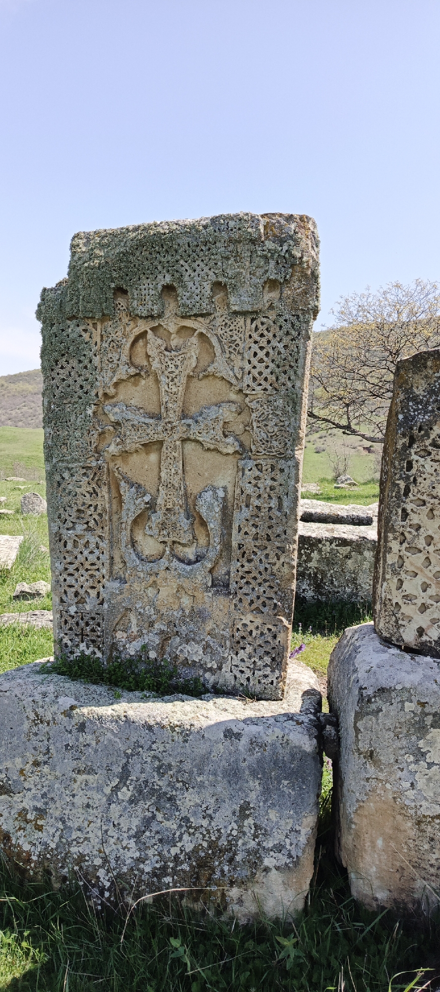 The image displays a weathered, intricately carved stone monument, likely an Armenian khachkar (cross-stone), standing outdoors under a clear blue sky. The main subject is a tall, rectangular stone slab, heavily adorned with carvings and covered in patches of light green and grey lichen.
The central feature of the stone is a large, stylized cross deeply carved into its surface. This cross is embellished with complex, intertwining patterns, possibly representing knotwork or botanical motifs, and its arms broaden at their ends. Below the main cross, two symmetrical, curling designs are carved, resembling stylized plant forms or ancient symbols. The entire central design is bordered by repetitive geometric patterns that fill the remaining surface of the stone, creating a dense texture.
The monument rests on a rough-hewn stone base, which is also weathered and covered with lichen. Small green plants grow at the foot of the khachkar. In the background, rolling green hills or mountains stretch under a bright, cloudless sky. A few trees with sparse foliage are visible in the mid-ground. The overall scene suggests an ancient cemetery or archaeological site, with other weathered stone structures partially visible in the lush green grass. The image is taken in bright daylight, indicating fair weather. There is no visible text or inscription on the monument. This location is identified as Berdavan, Armenia.