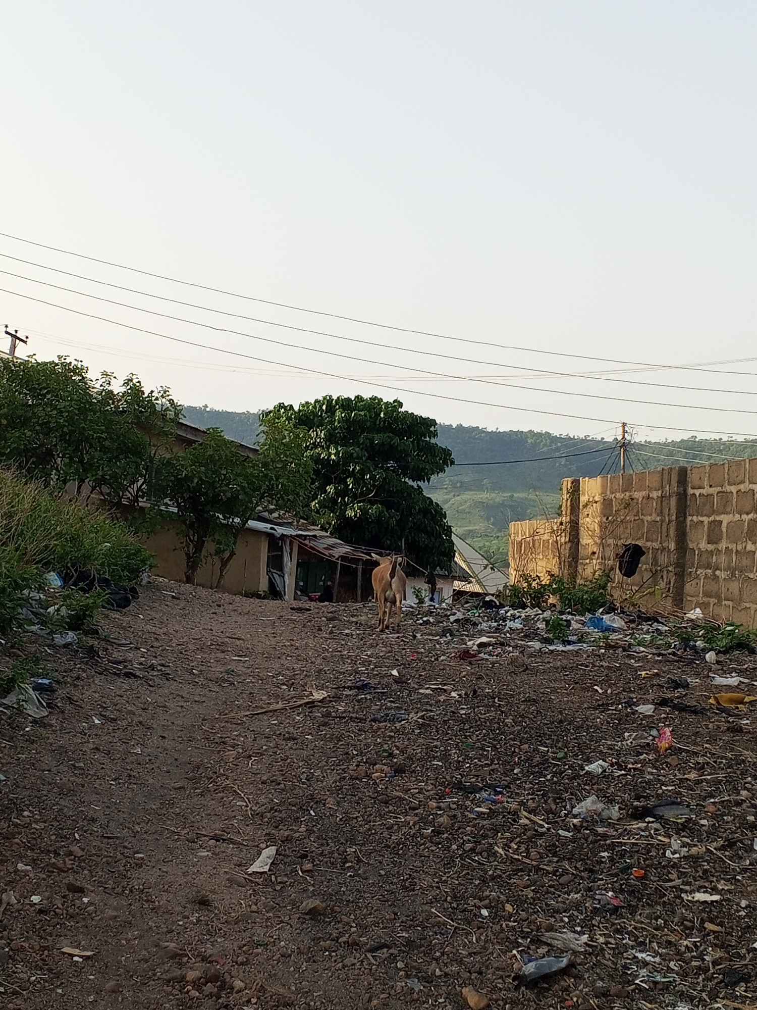 A dirt path leads between a low, patched building and a block wall in Lokoja, Nigeria. Litter is heavily present in the foreground and midground of the image. A brown goat stands near the center of the image on the path. Power lines stretch across the sky. Hills are visible in the background.