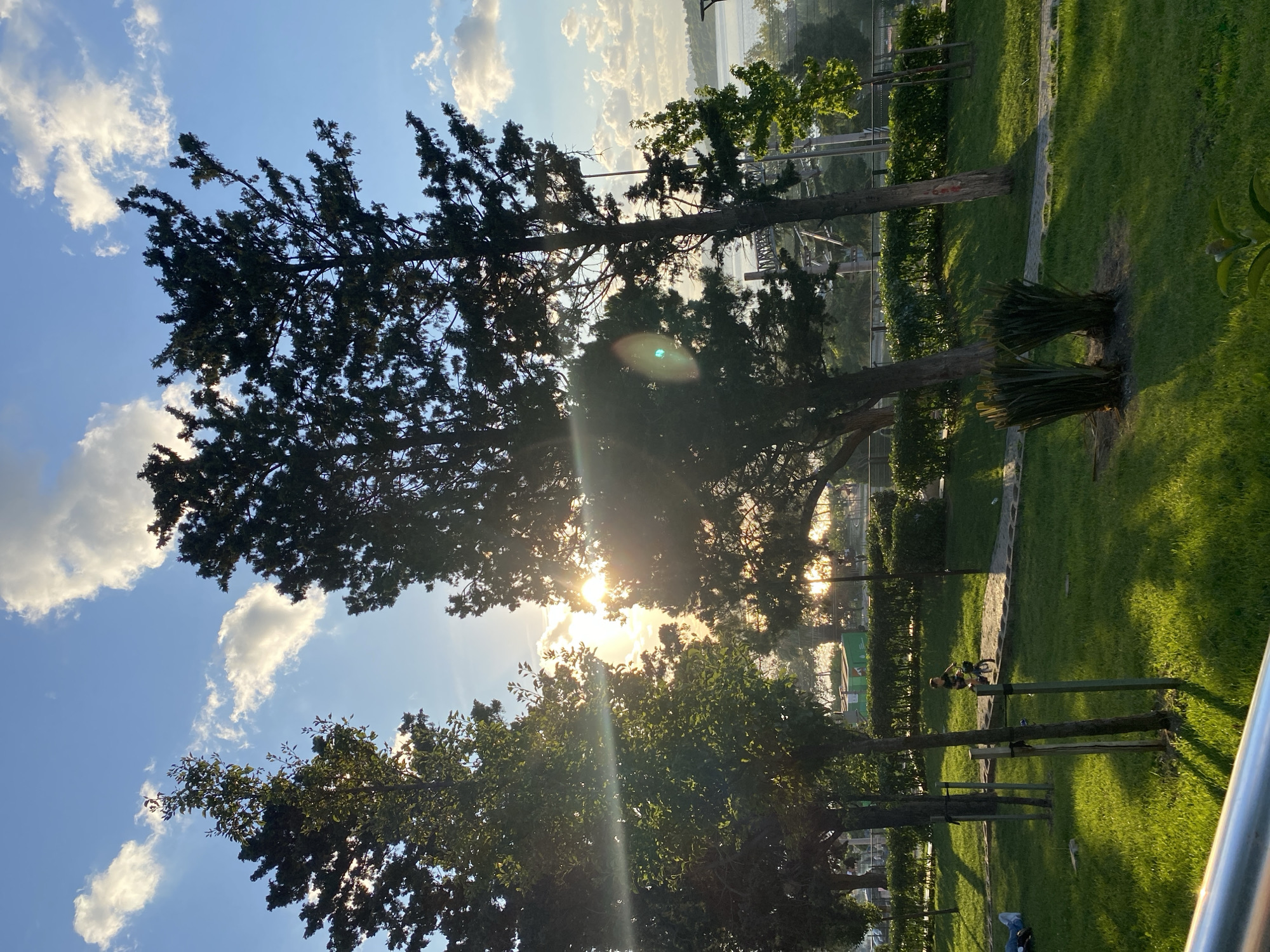 The image depicts a sunlit park scene with tall trees in the foreground, likely in Küçükçekmece, Turkey. The sun is low in the sky, casting long shadows across the green grass. Two people are visible: one lying on the grass to the left, and another riding a bicycle on a path in the middle ground. A hedgerow lines the back of the park, with more trees and distant buildings visible beyond. The sky is blue with scattered white clouds, illuminated by the setting sun, which creates lens flare effects. A metal railing runs along the bottom of the frame.